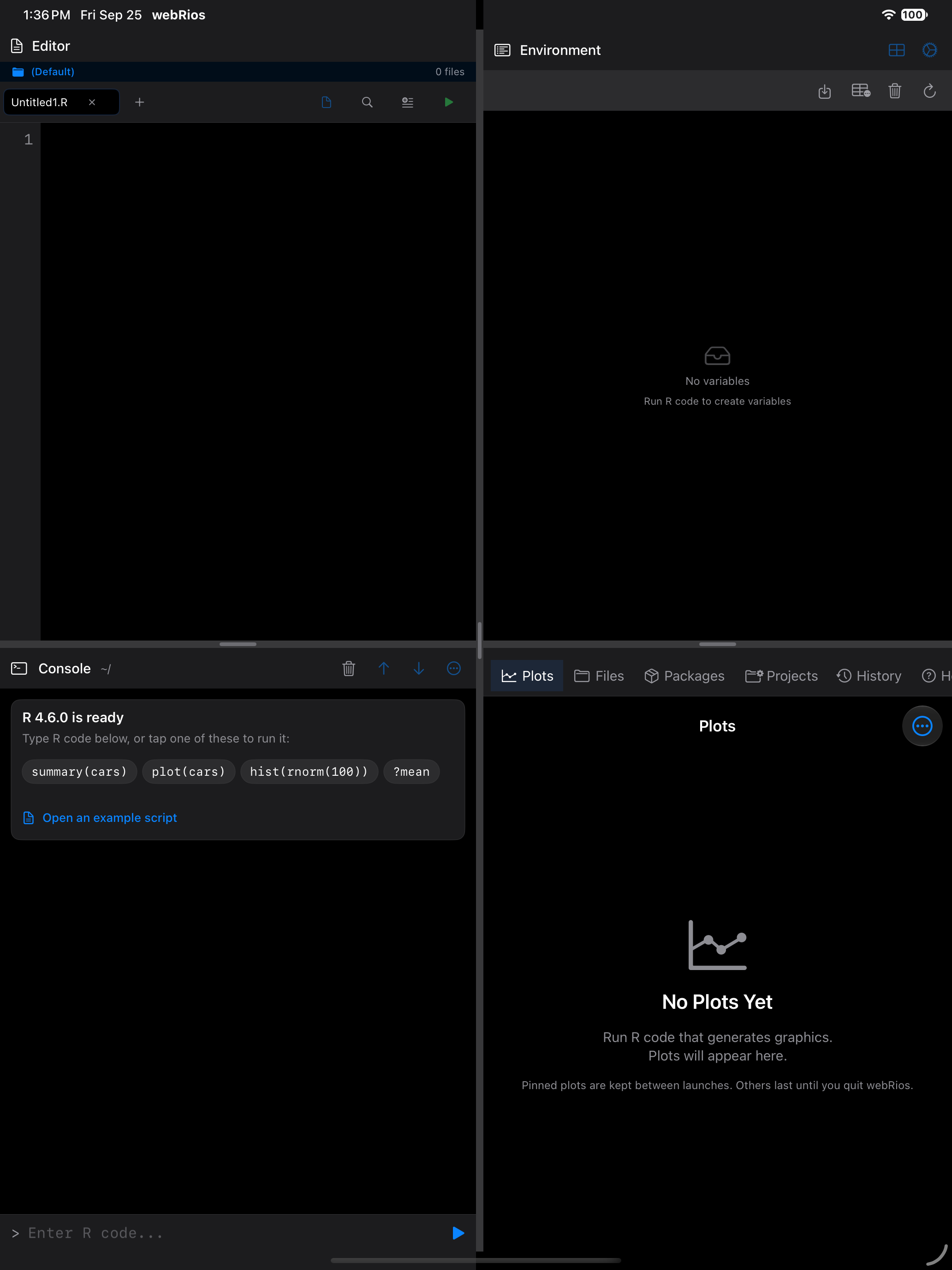 The Editor tab before a file is open on iPad