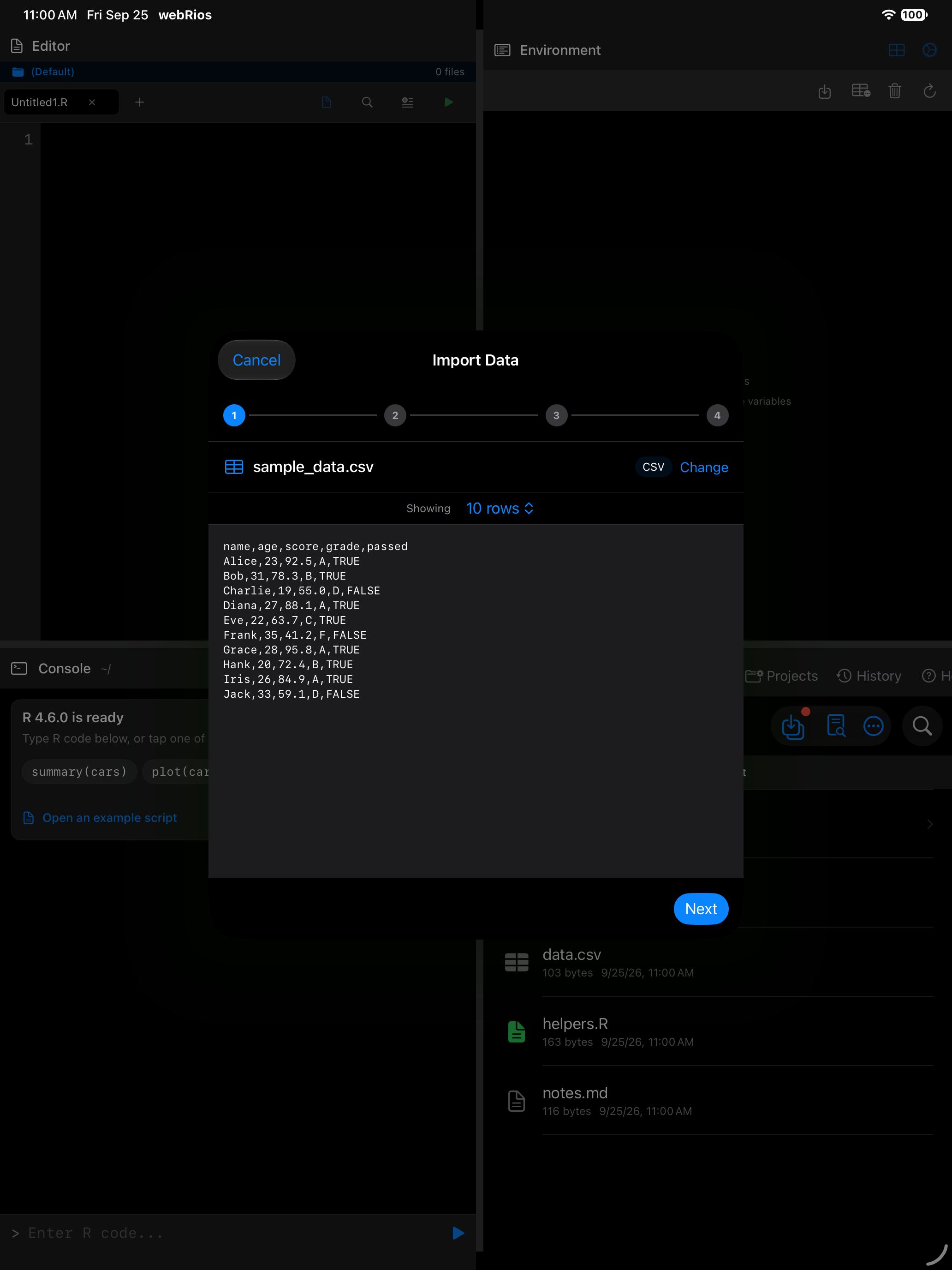 Wizard showing detected format, row count and raw preview on iPad in dark mode