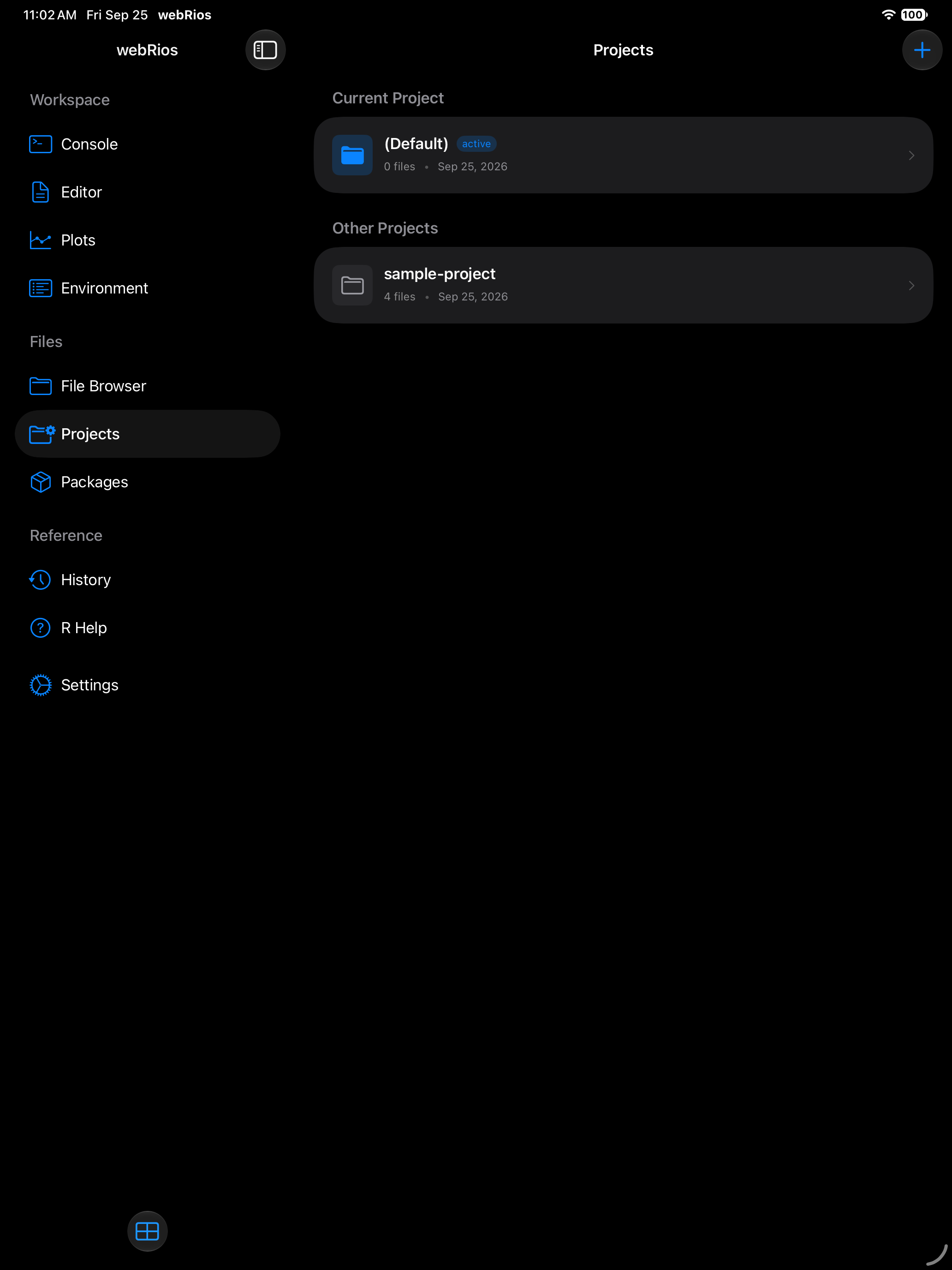 Projects tab showing the current project and project list on iPad in dark mode