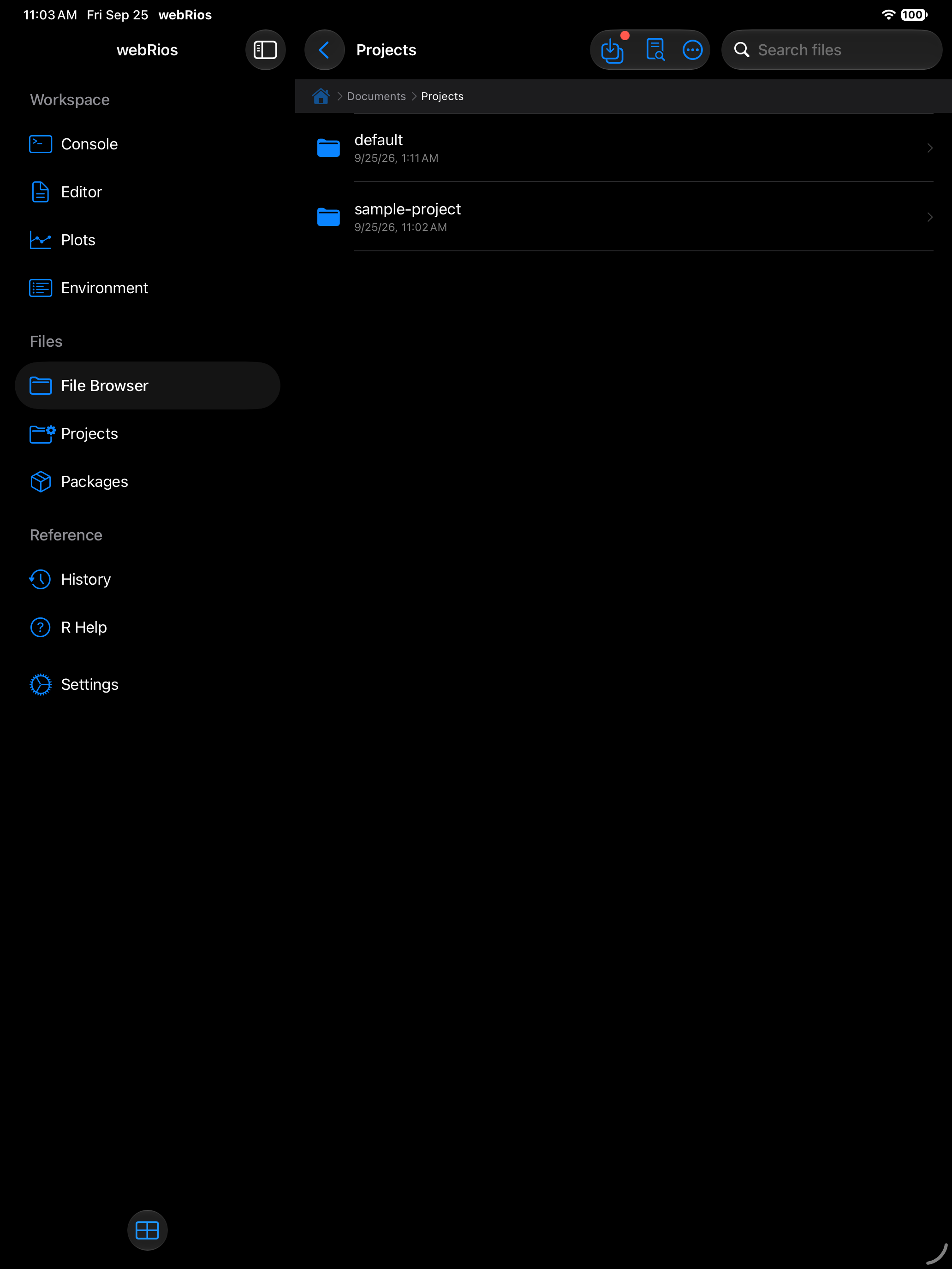 Documents Projects folder with one folder per project on iPad in dark mode