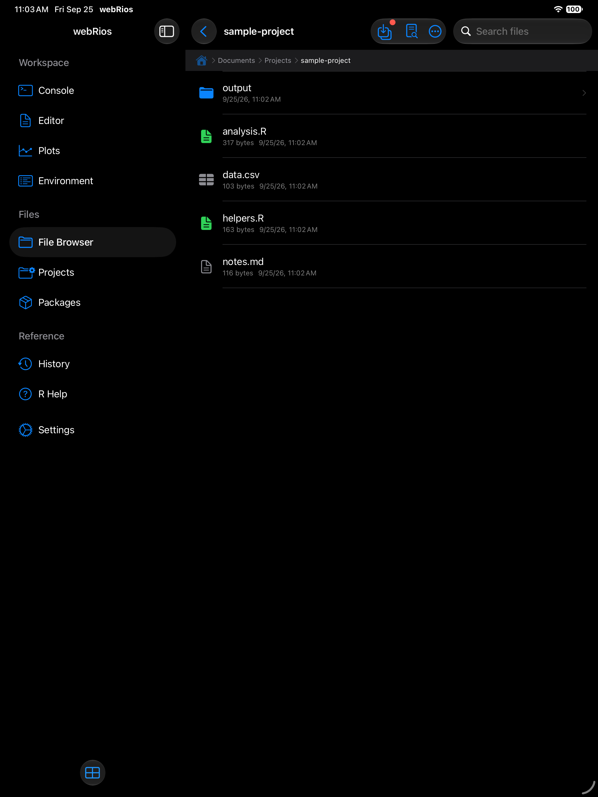 Contents inside a project folder showing scripts and data files on iPad in dark mode