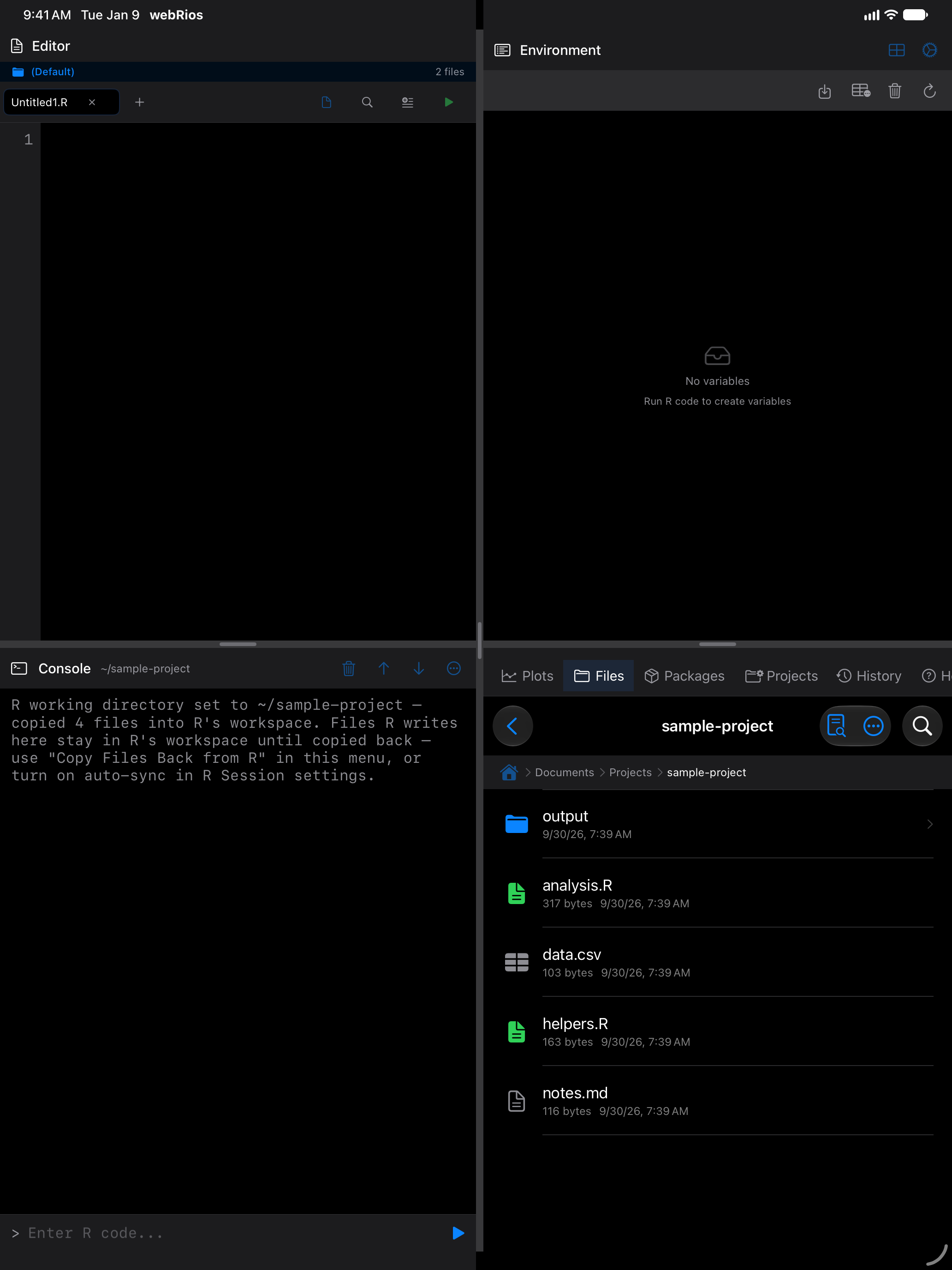 Console header showing the updated working directory on iPad in dark mode
