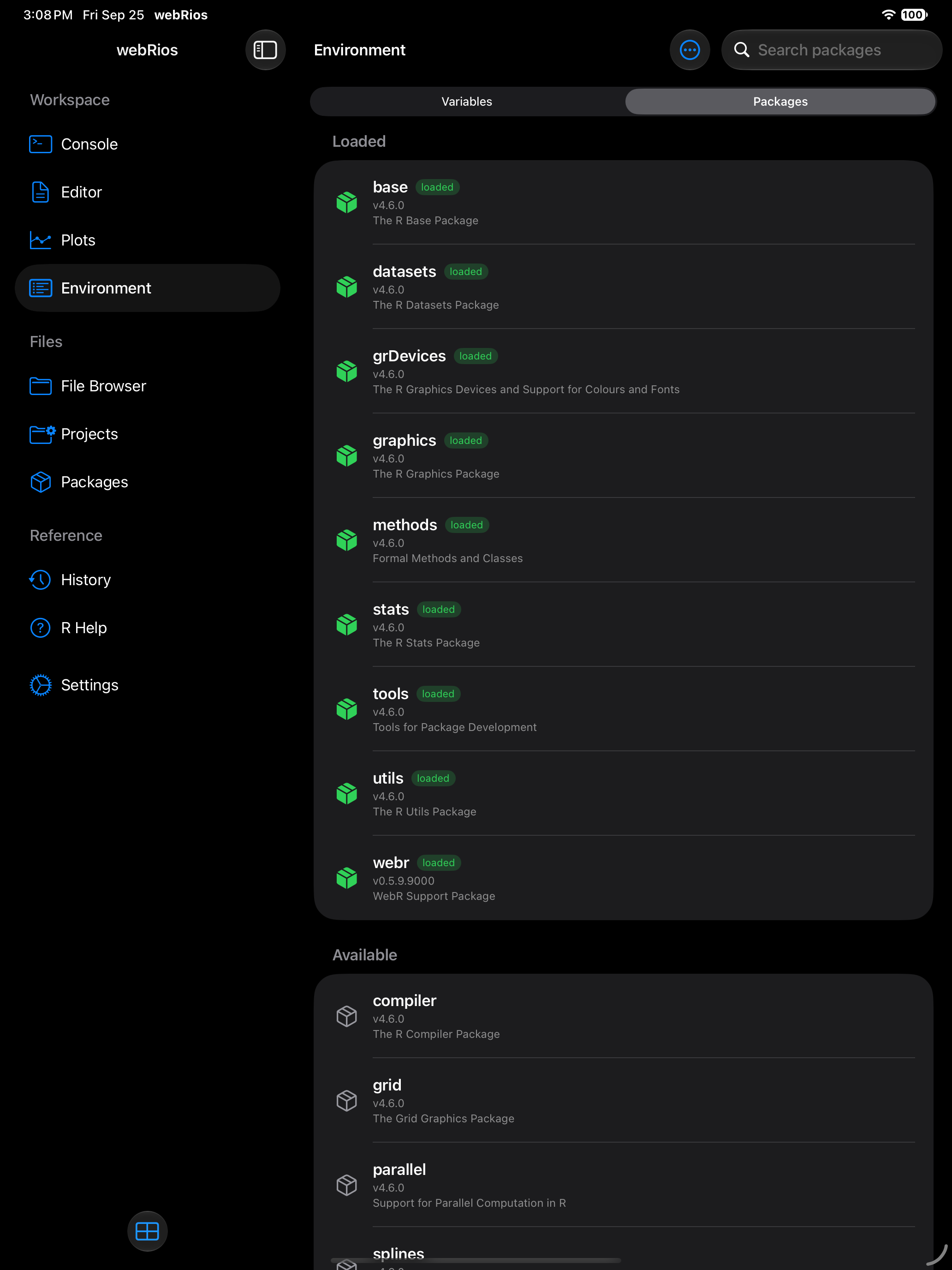 Loaded package with a green icon and loaded badge on iPad in dark mode