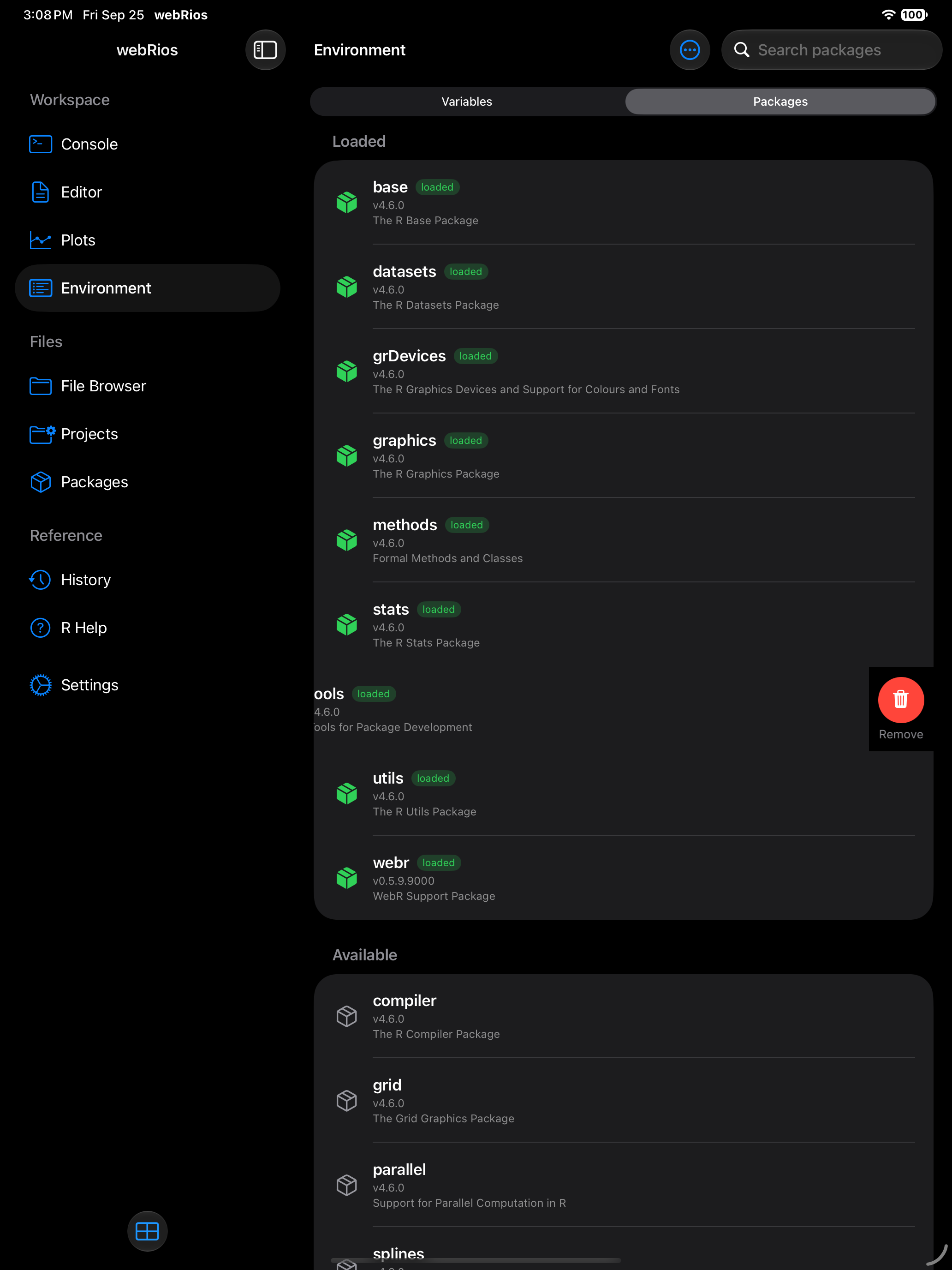 Package row swiped left revealing the Remove button on iPad in dark mode