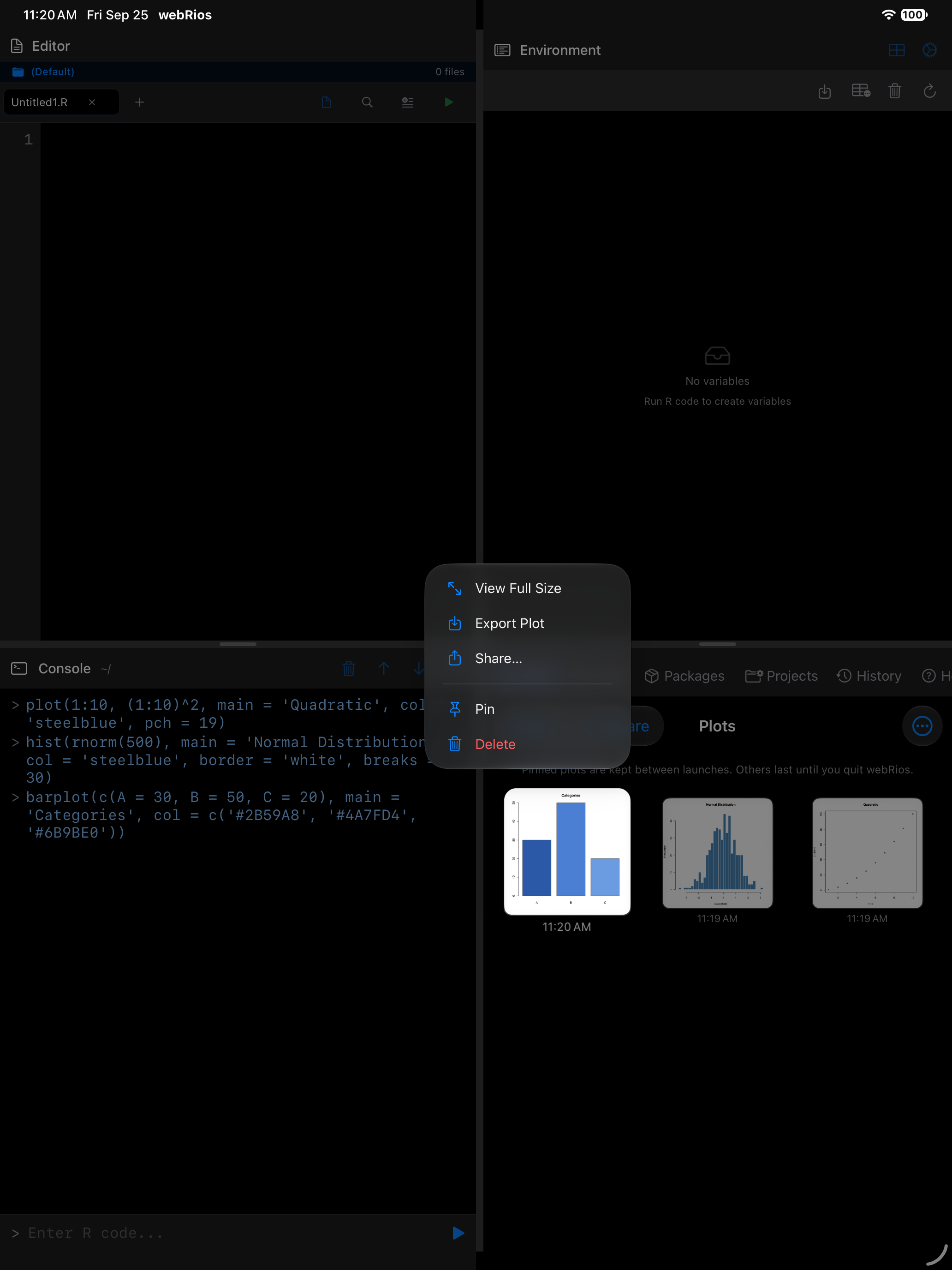 Long press context menu on a plot thumbnail showing Pin on iPad in dark mode
