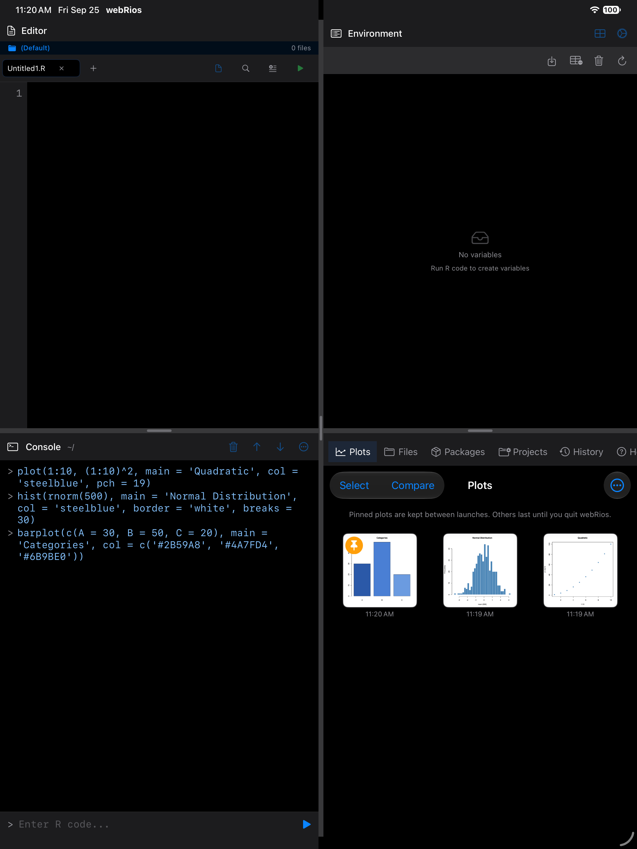 A pinned plot showing its orange badge on iPad in dark mode