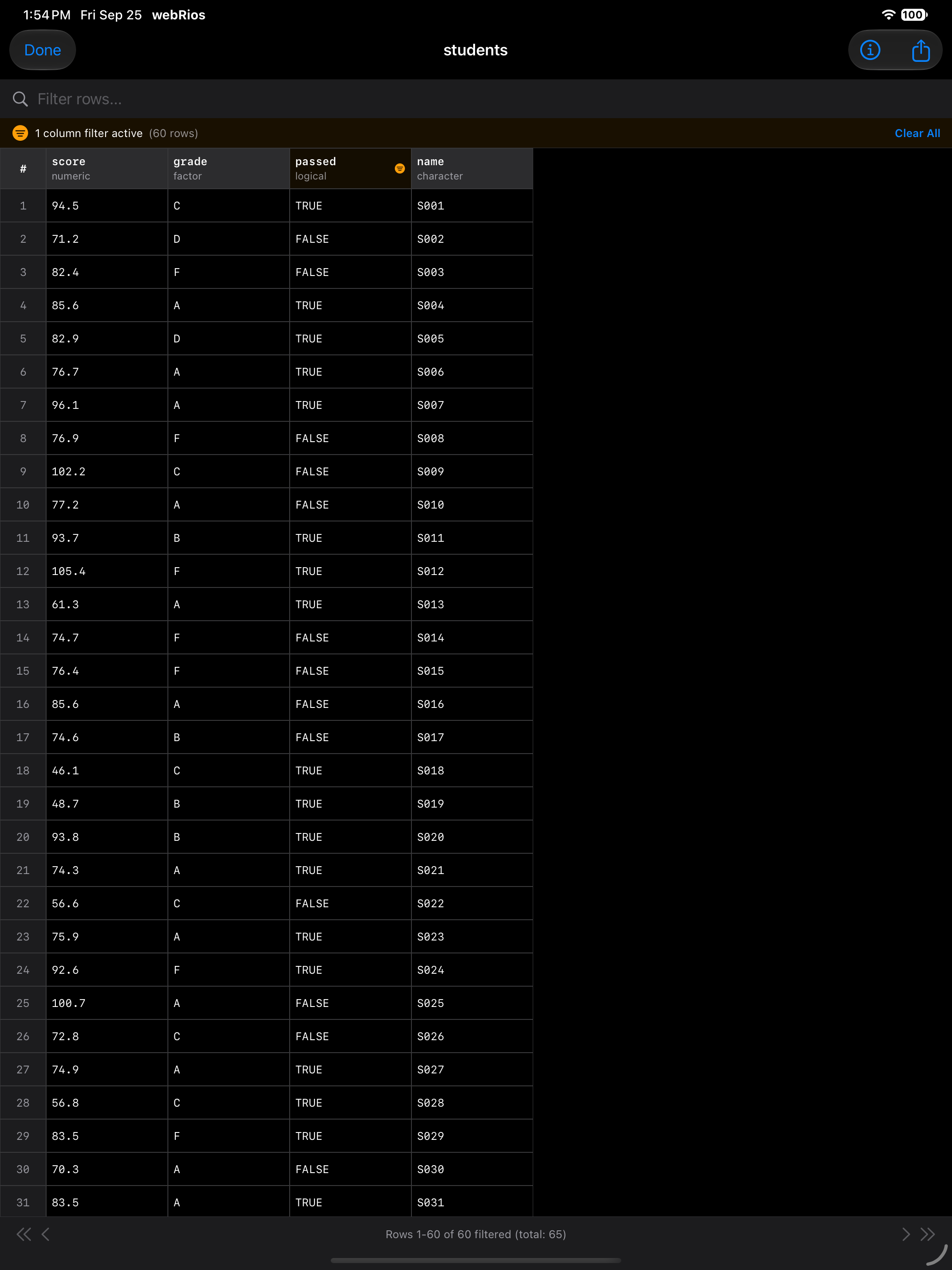 Data Frame Viewer showing the active filter status bar on iPad in dark mode