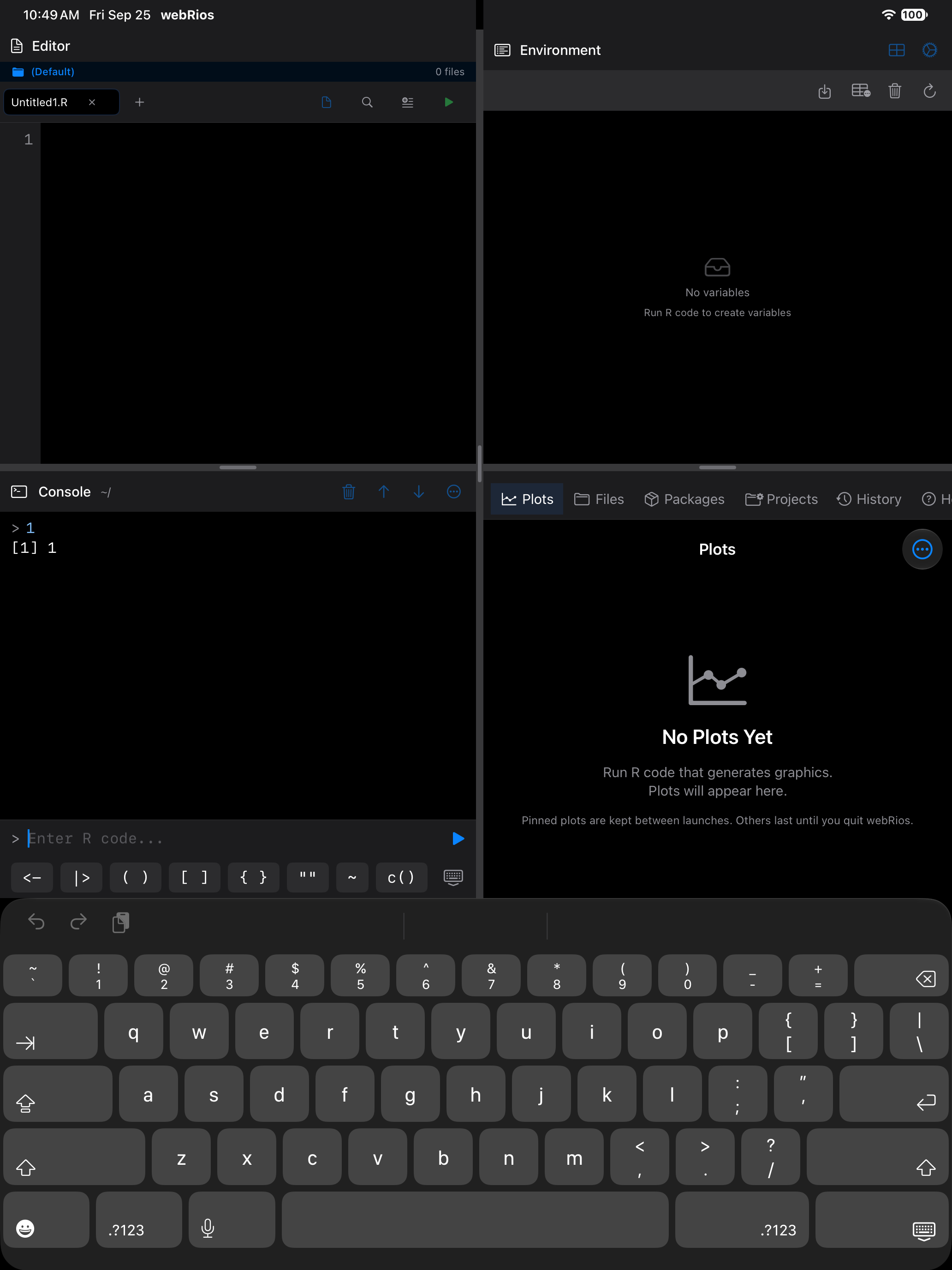 The R keyboard toolbar above the console input on iPad in dark mode