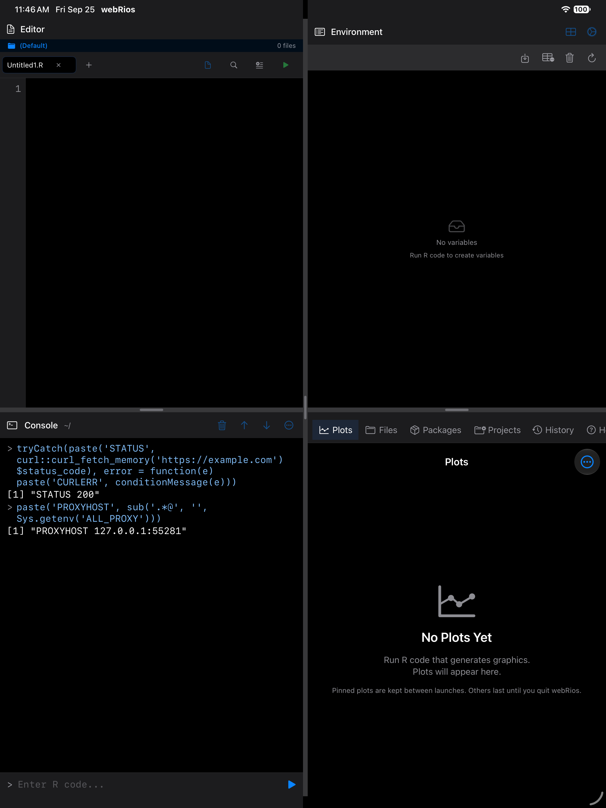 Console on iPad showing a successful request returning status 200 through the on-device proxy, in dark mode