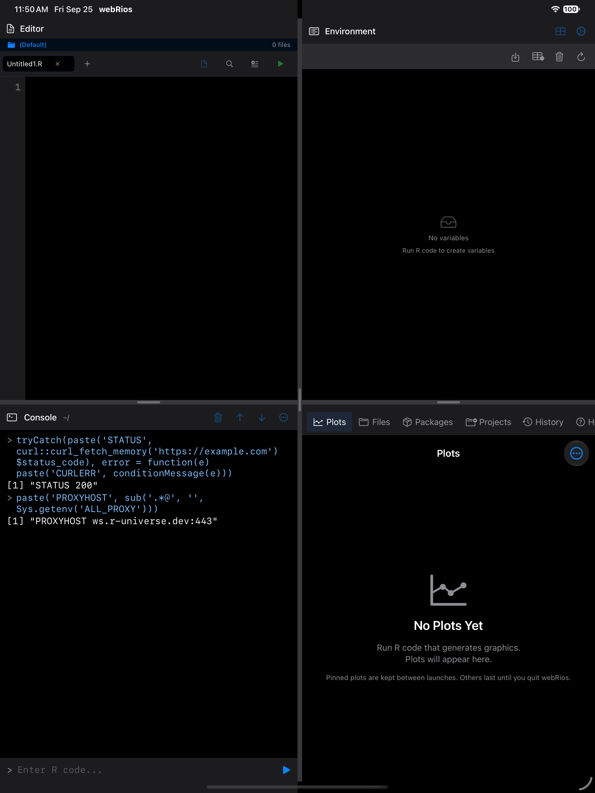 Console on iPad showing a request through the public proxy returning status 200, in dark mode