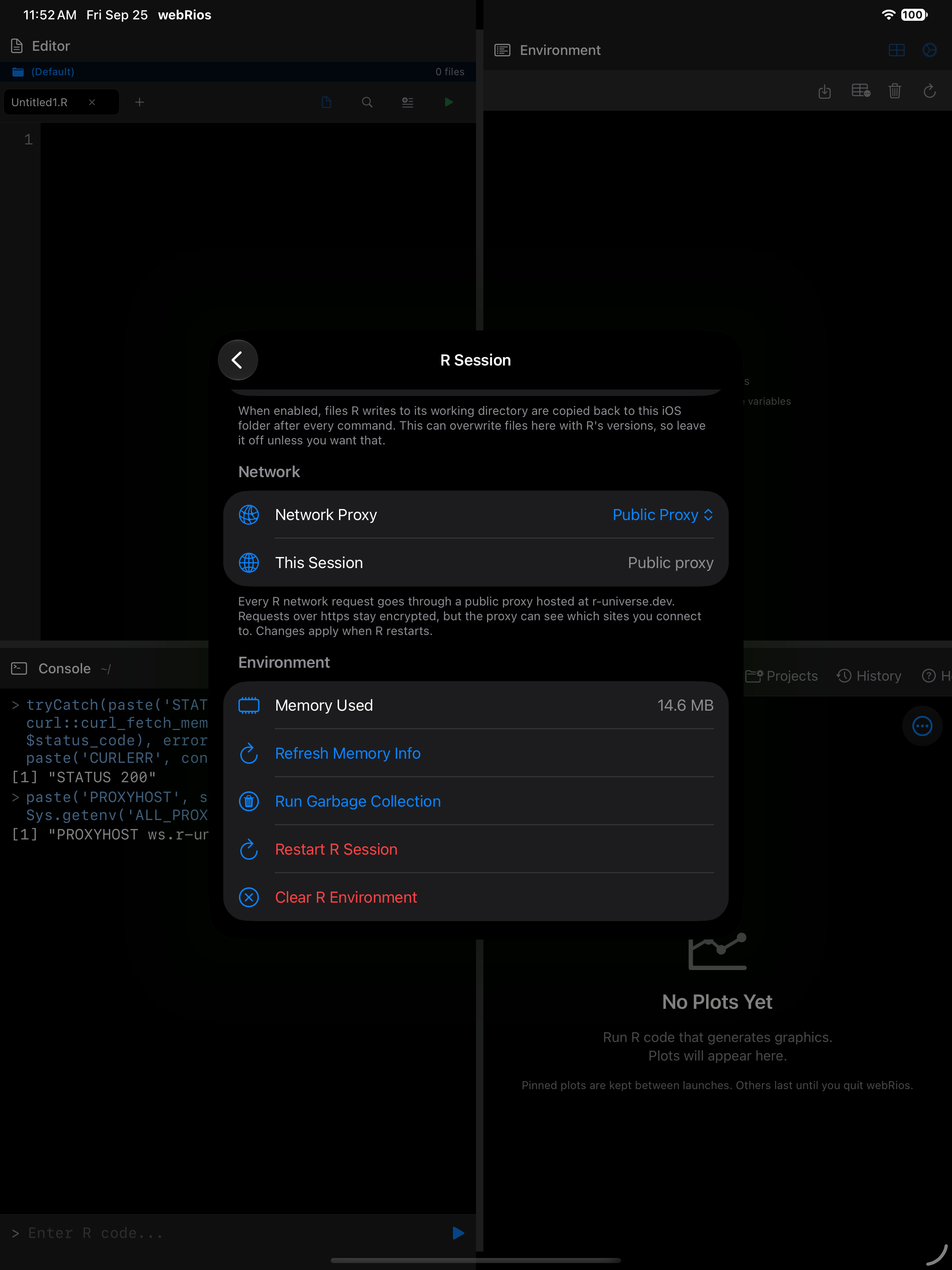 R Session settings on iPad with Network Proxy set to Public Proxy, in dark mode