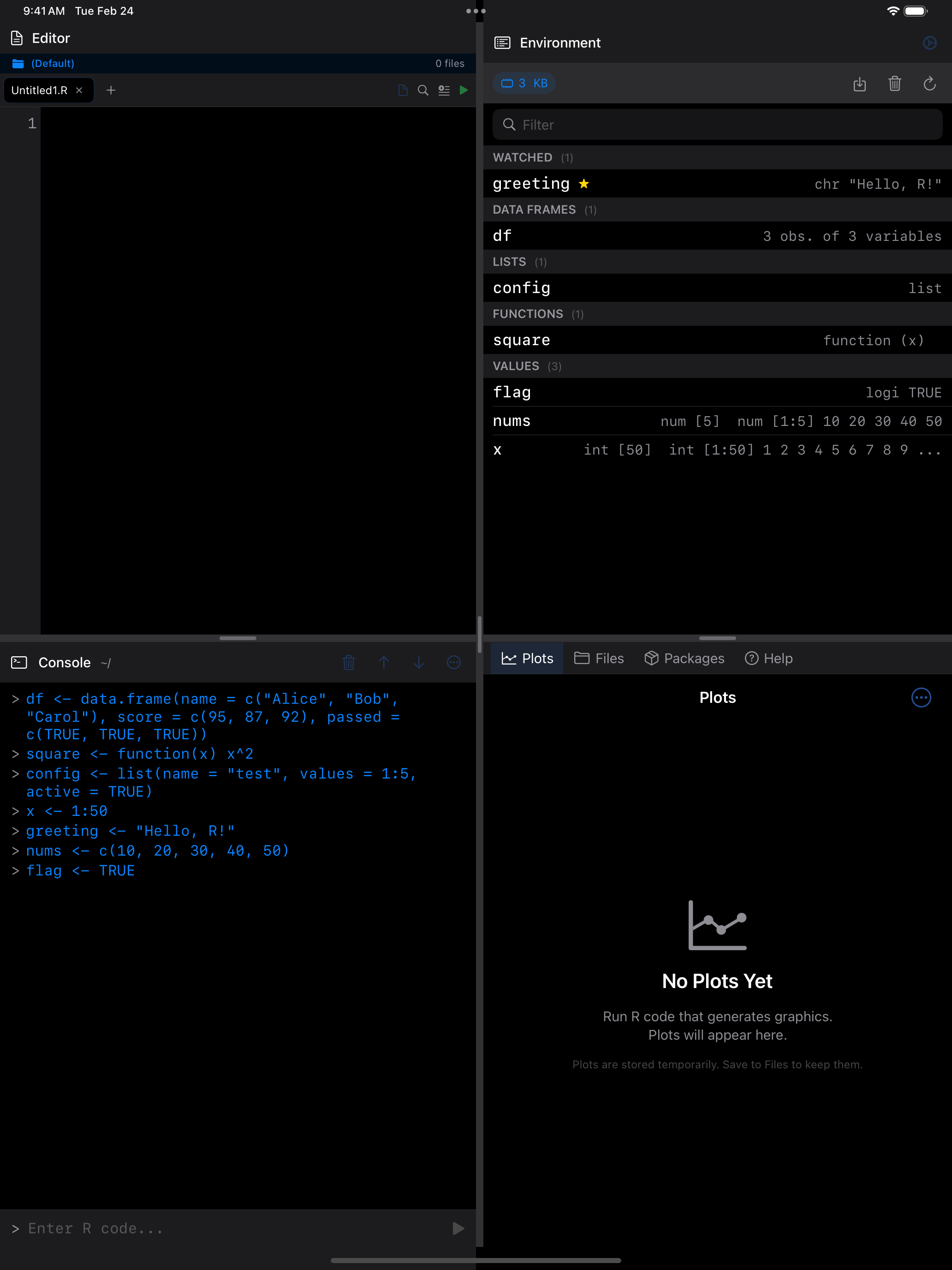 Environment tab on iPad in dark mode with a watched variable