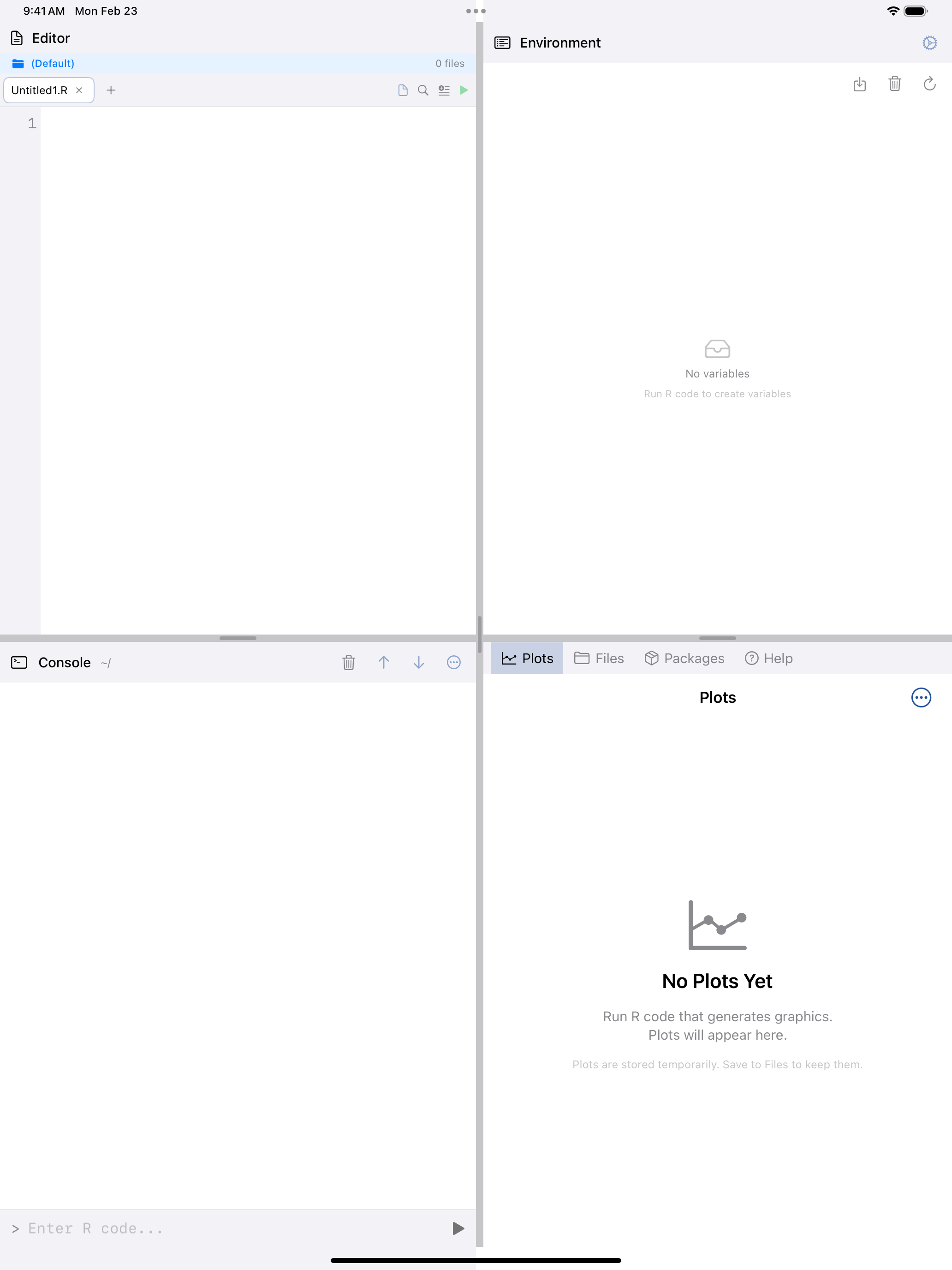Empty console ready for input on iPad