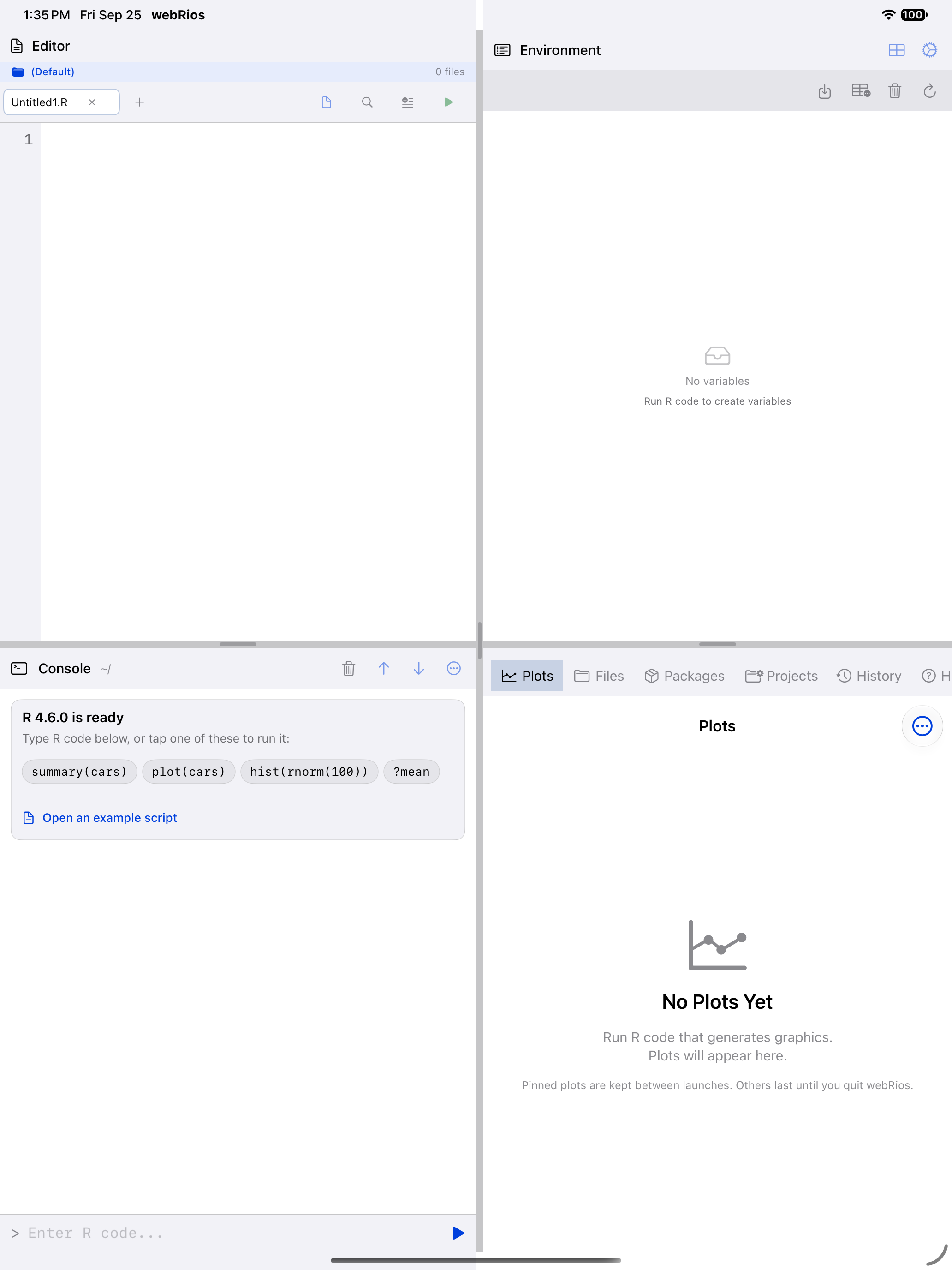 The Editor tab before a file is open on iPad