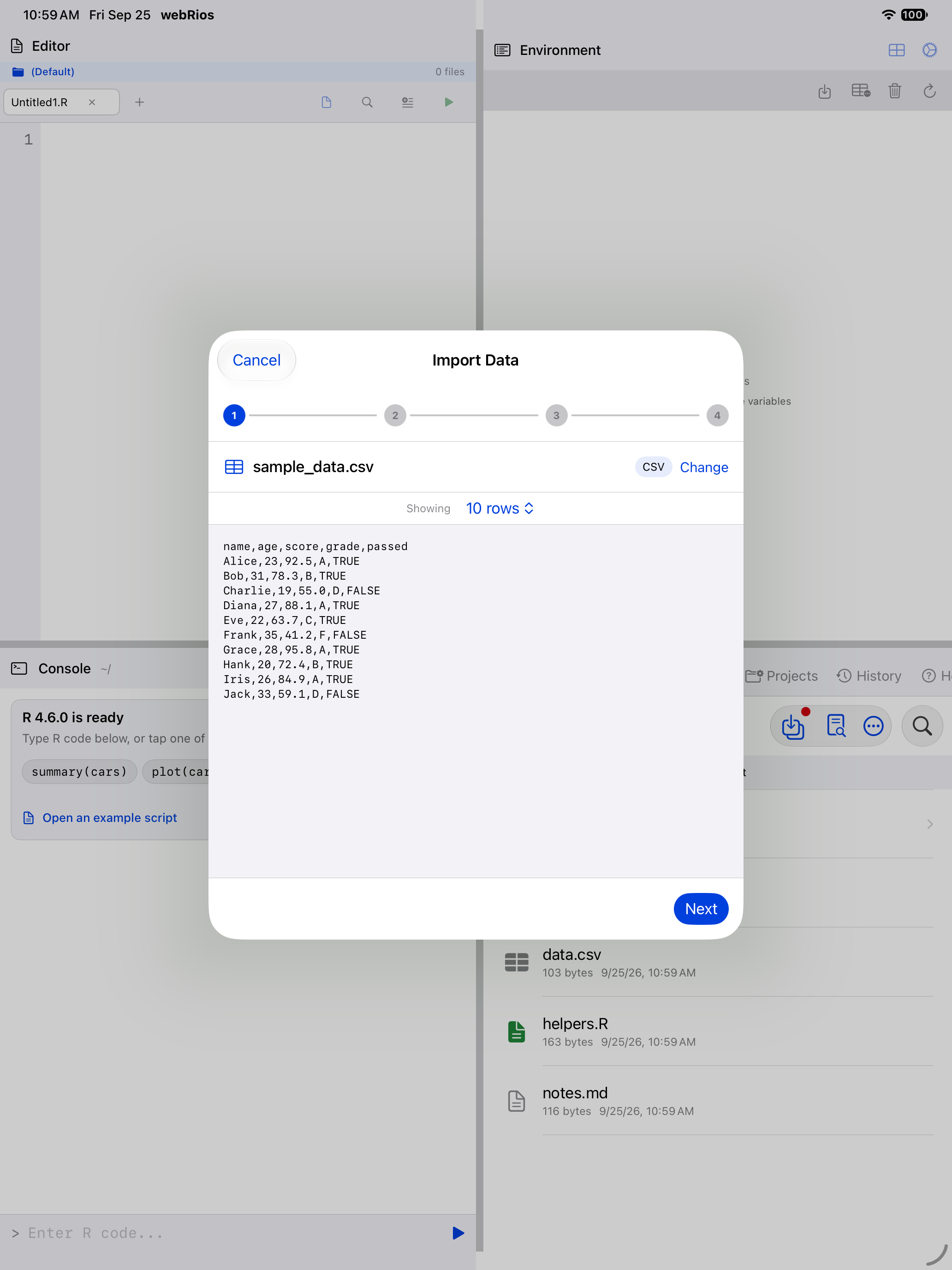 Wizard showing detected format, row count and raw preview on iPad