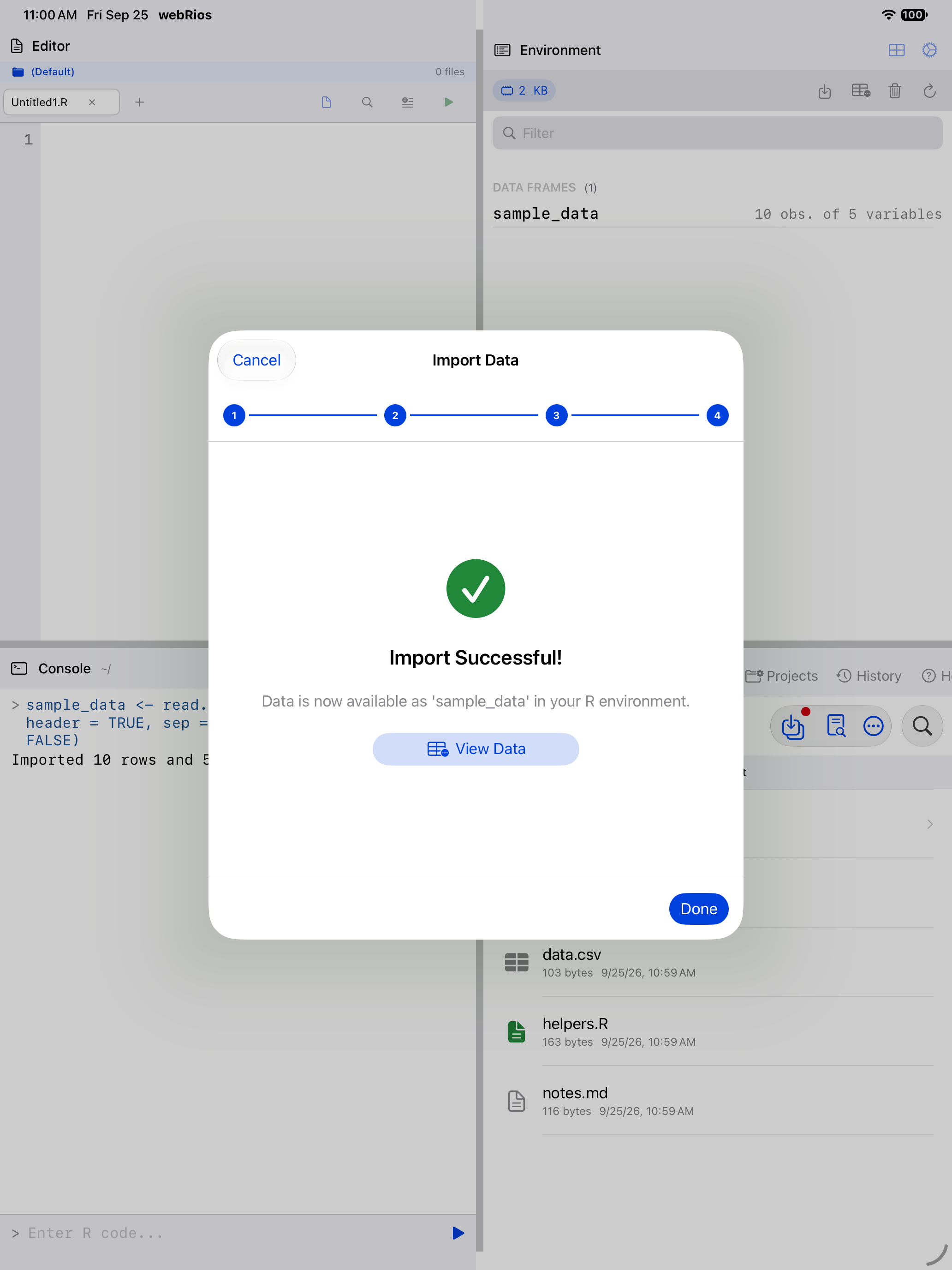 Wizard import success with the View Data button on iPad
