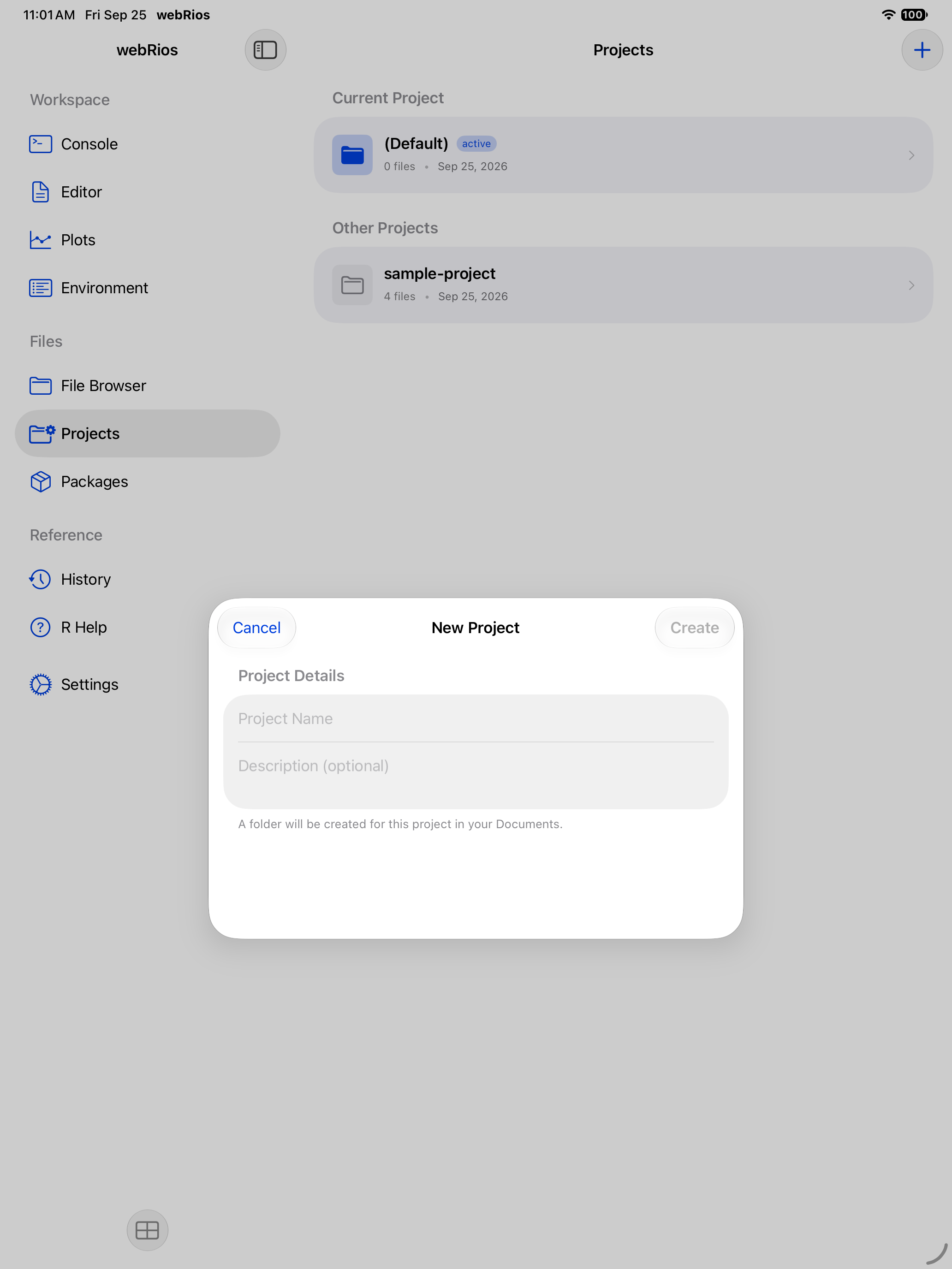 New Project sheet with name and description fields on iPad