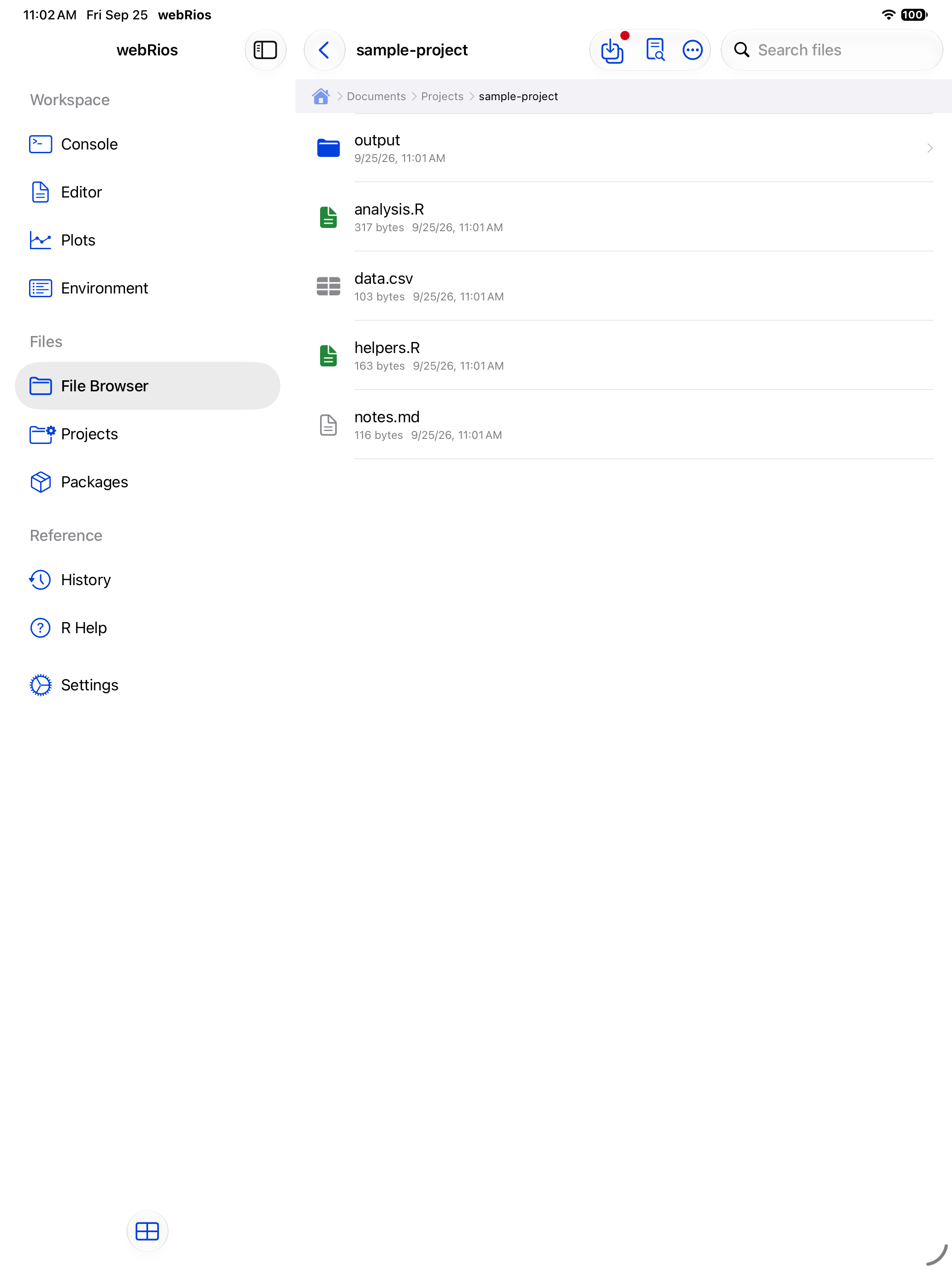 Contents inside a project folder showing scripts and data files on iPad