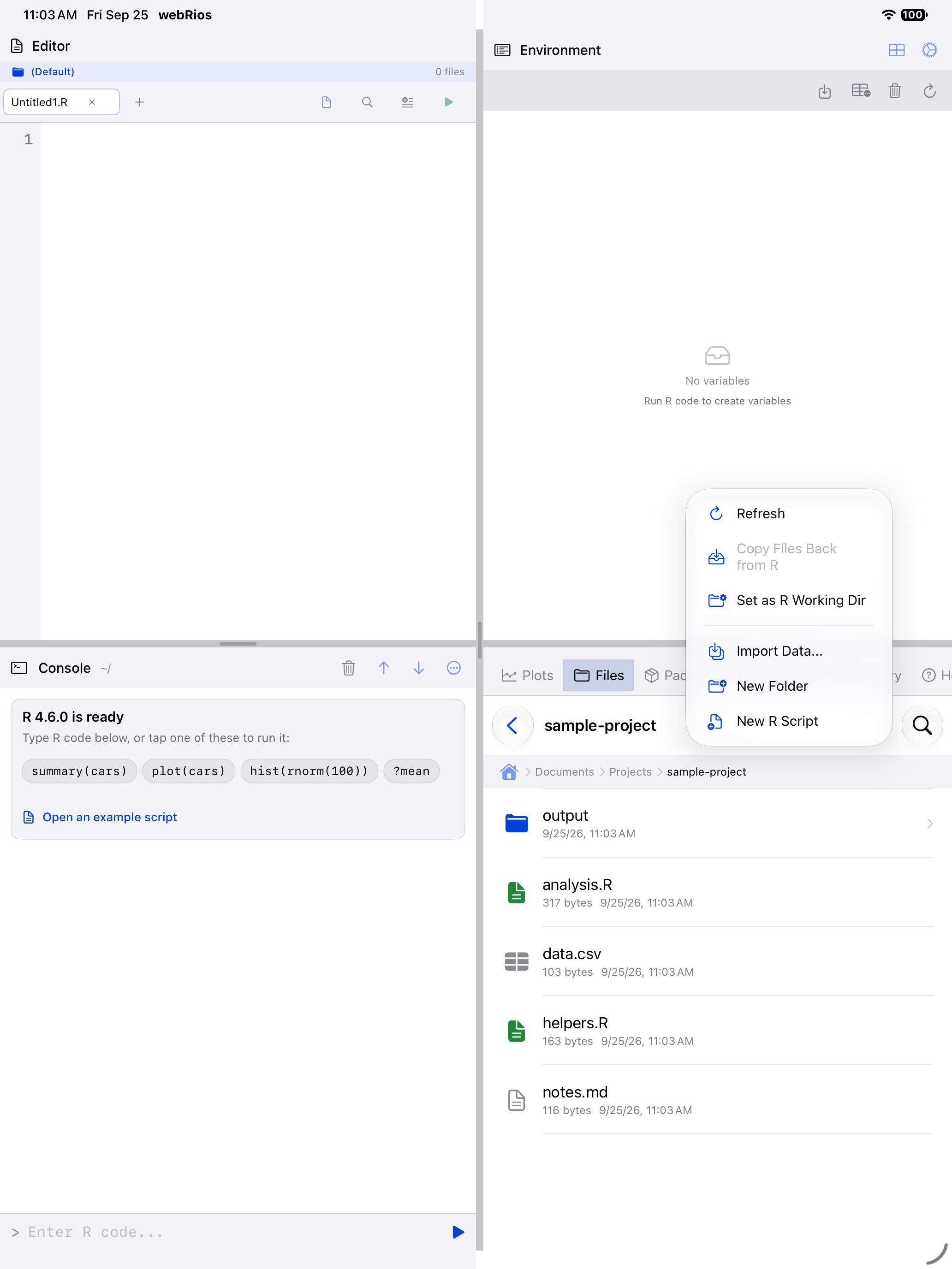 Files overflow menu showing Set as R Working Dir on iPad