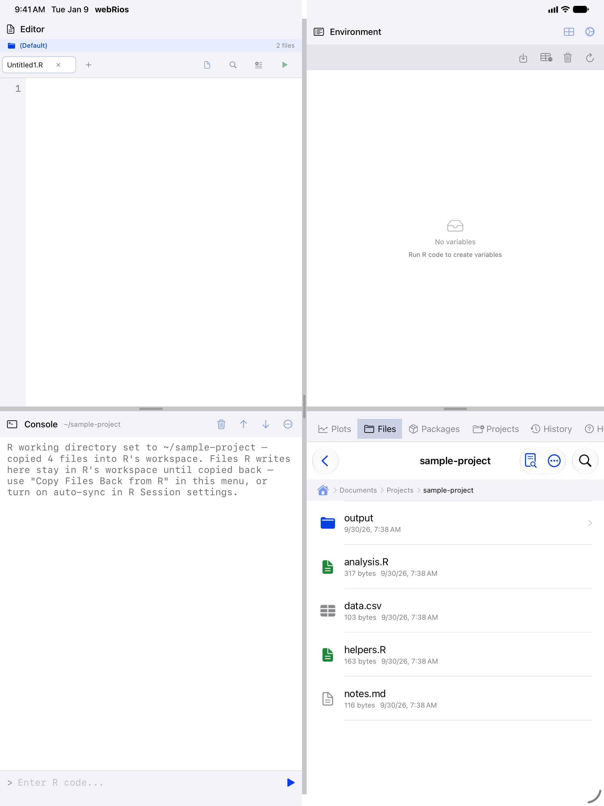 Console header showing the updated working directory on iPad