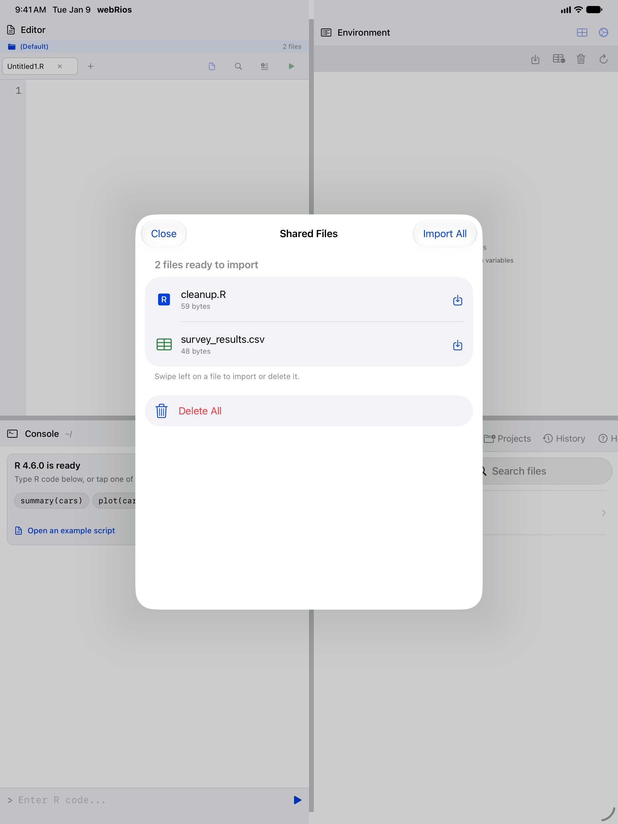 Shared files sheet listing files awaiting import on iPad