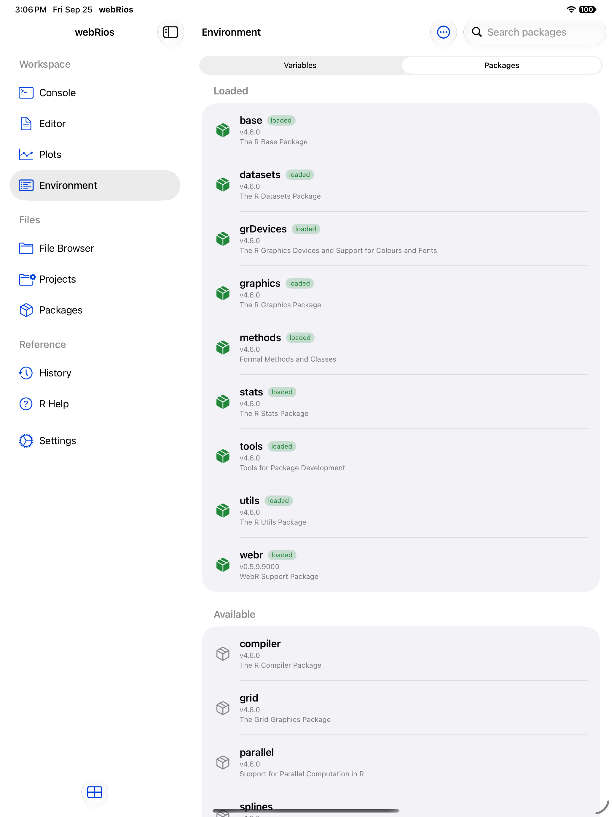Loaded package with a green icon and loaded badge on iPad