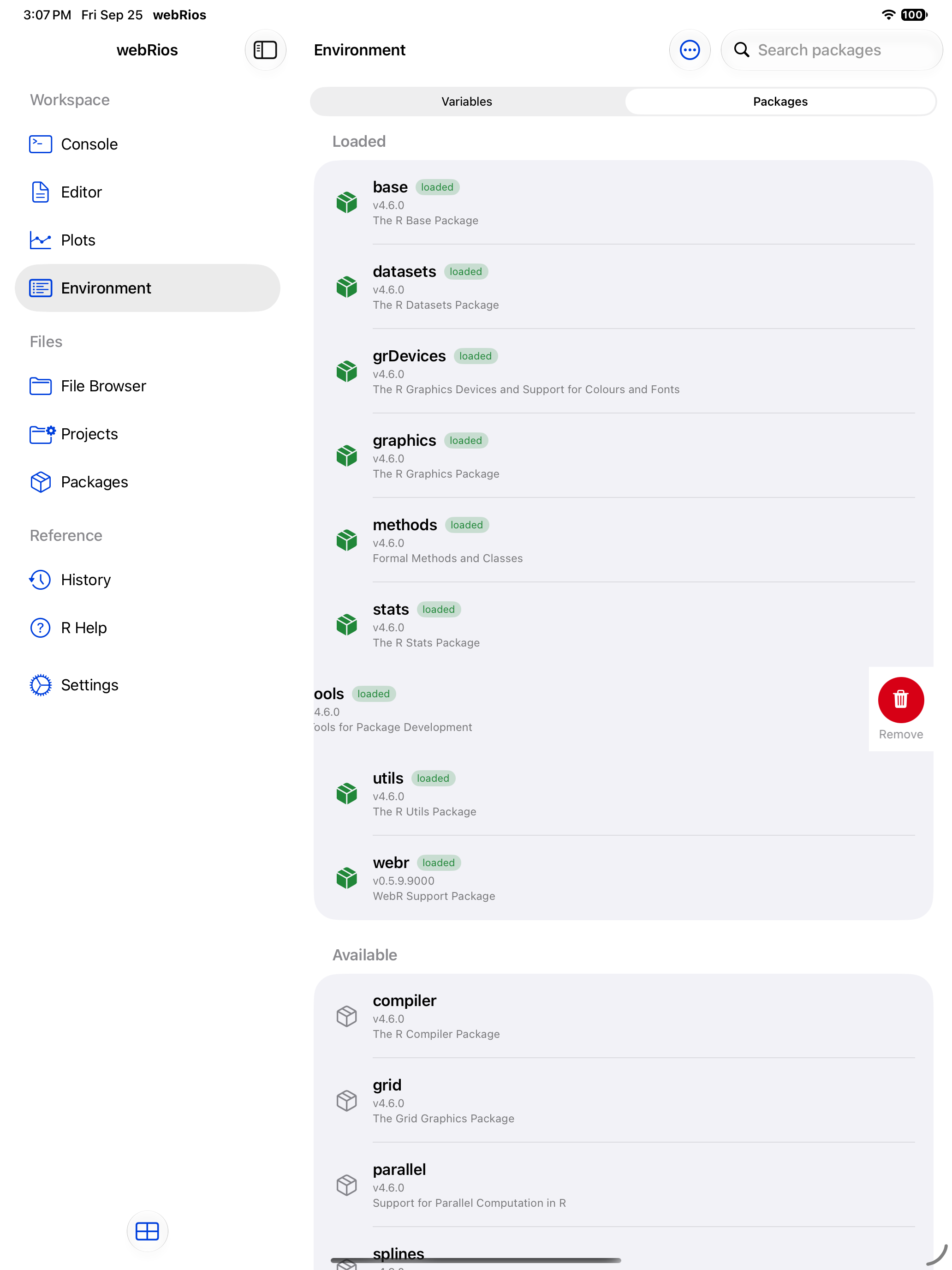 Package row swiped left revealing the Remove button on iPad