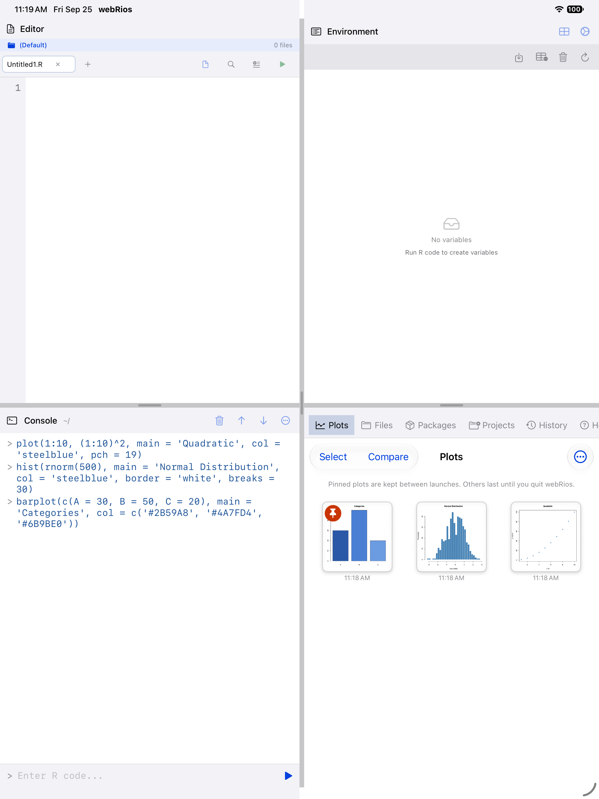 A pinned plot showing its orange badge on iPad