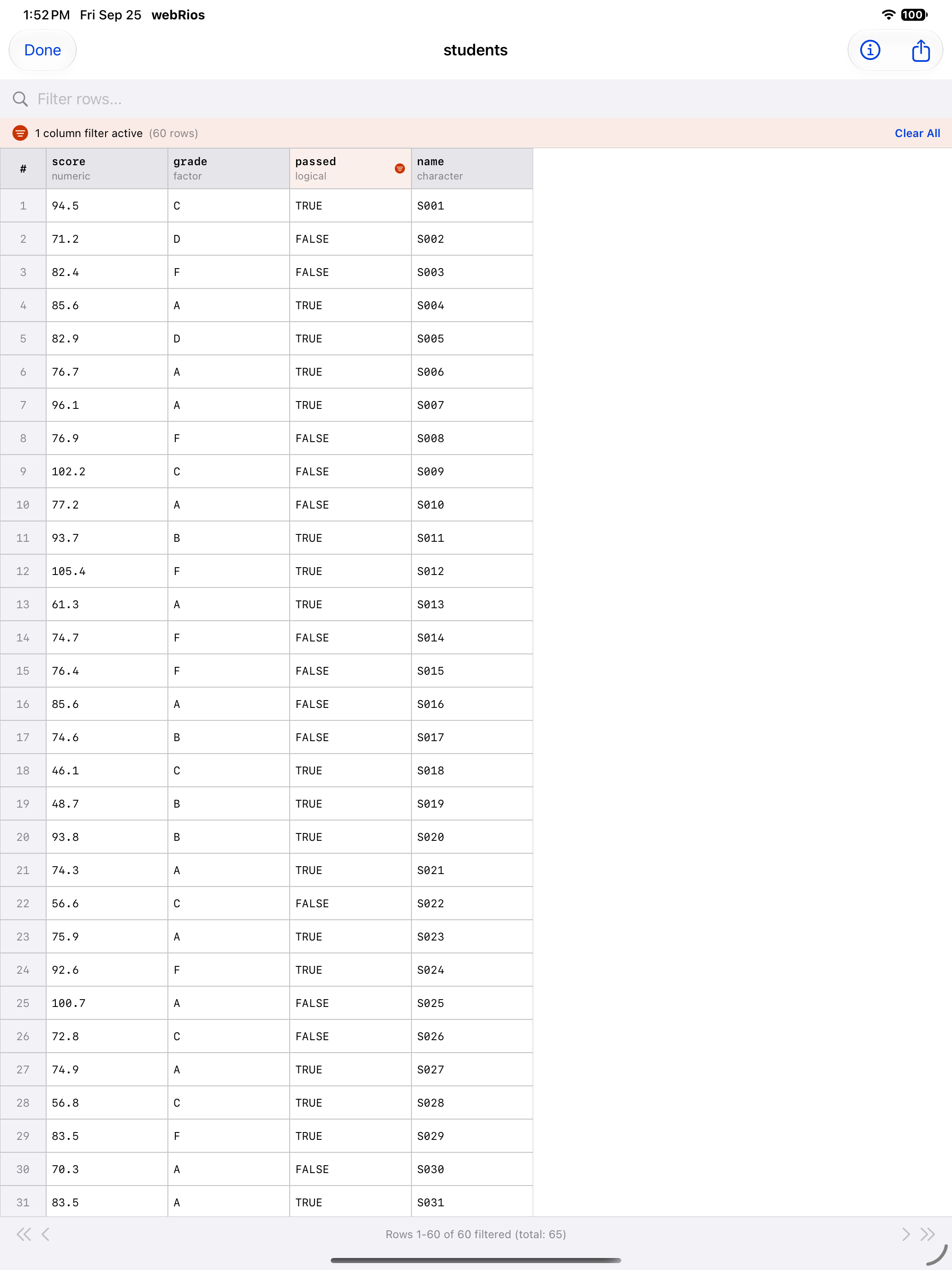 Data Frame Viewer showing the active filter status bar on iPad