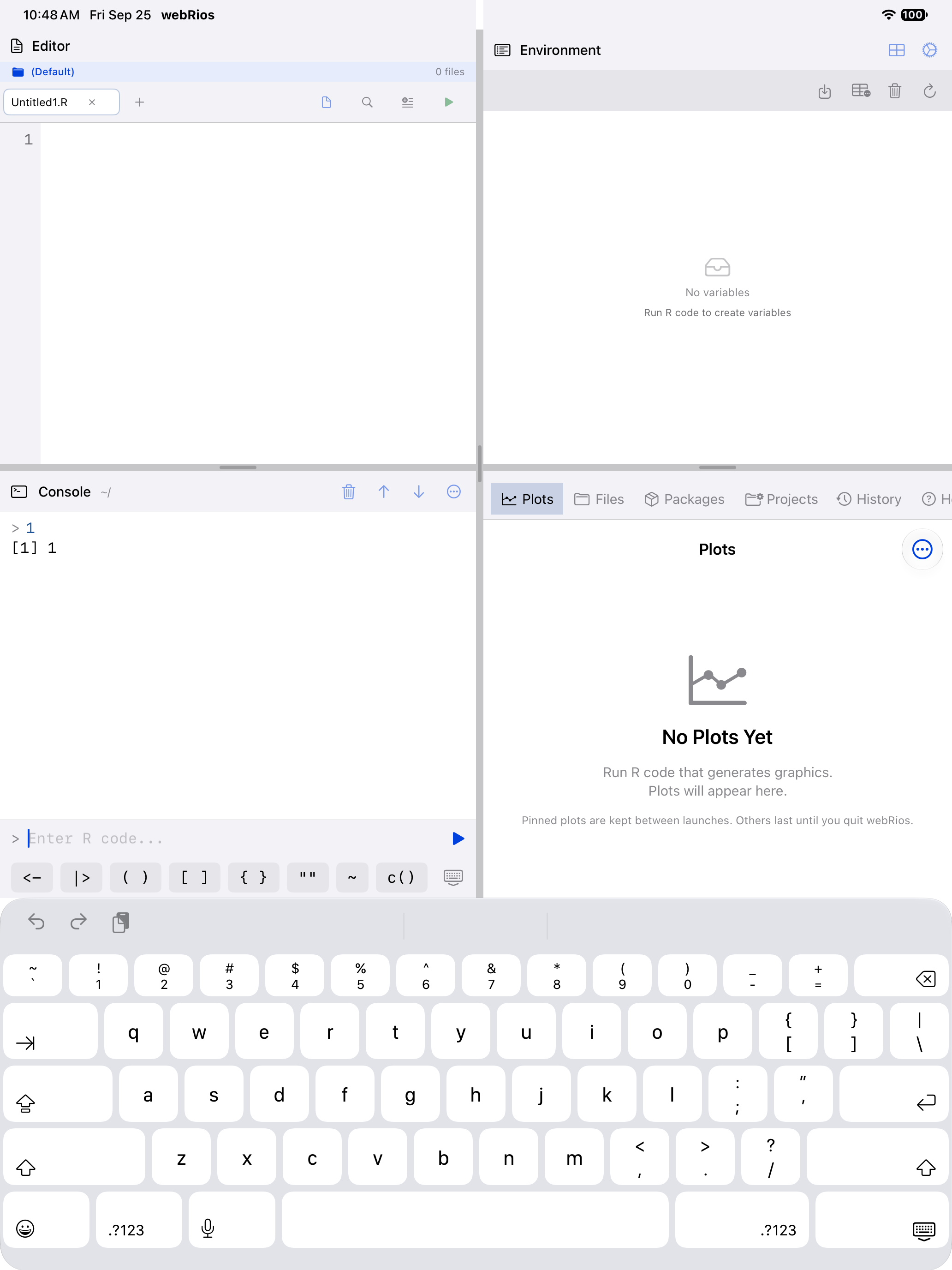 The R keyboard toolbar above the console input on iPad