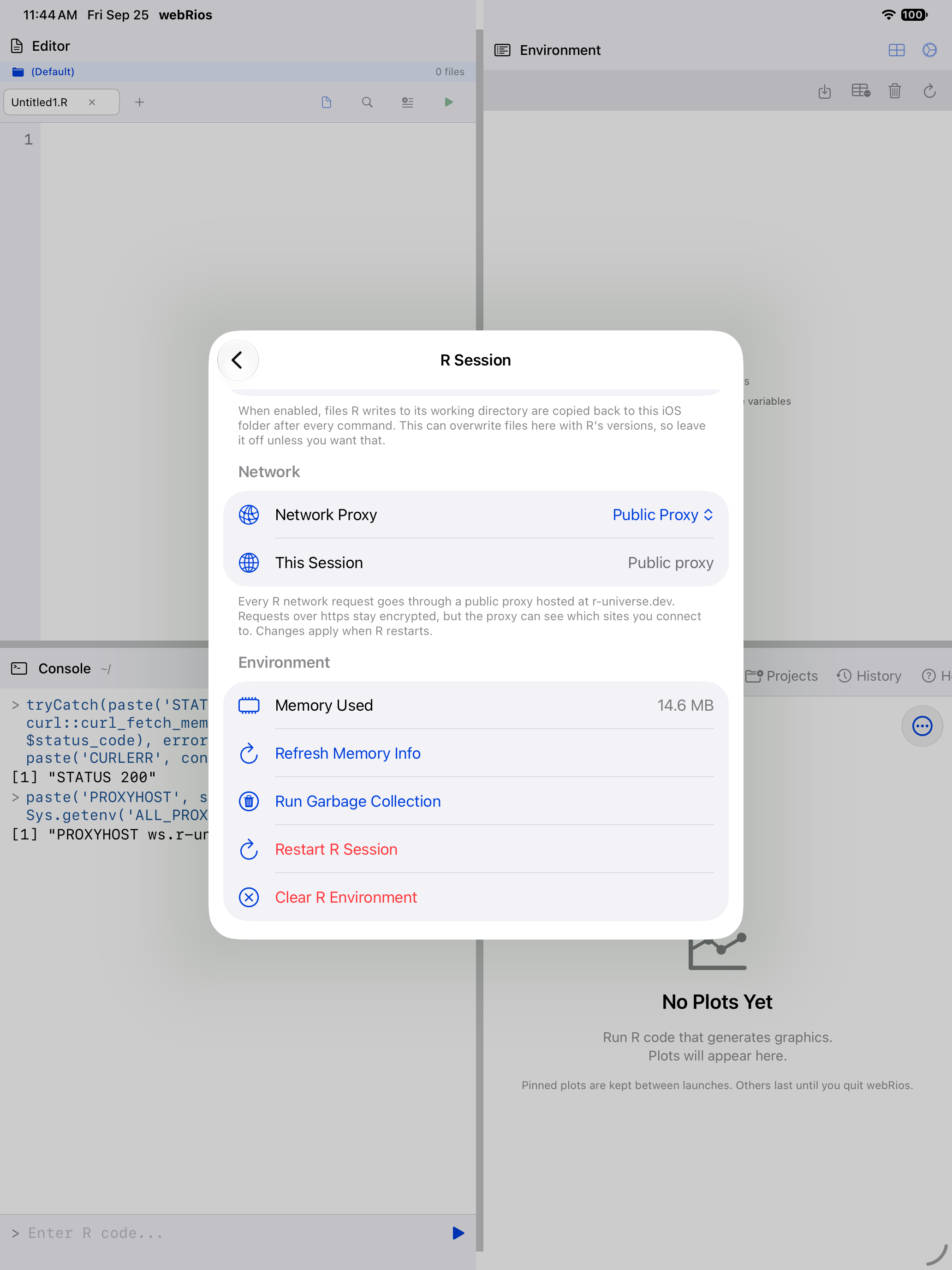 R Session settings on iPad with Network Proxy set to Public Proxy