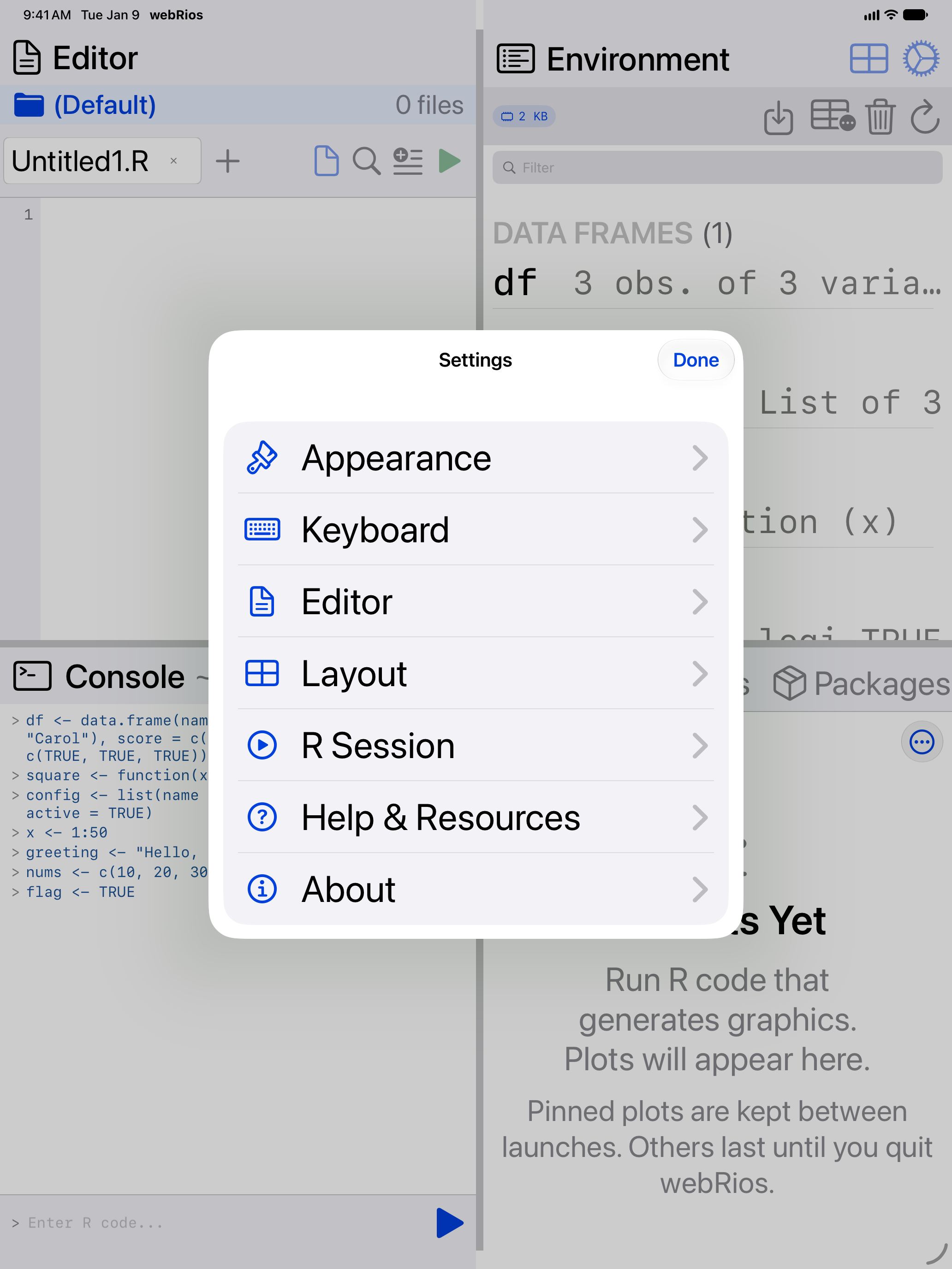 The same Settings sheet on iPad at an accessibility text size, with larger row titles and icons