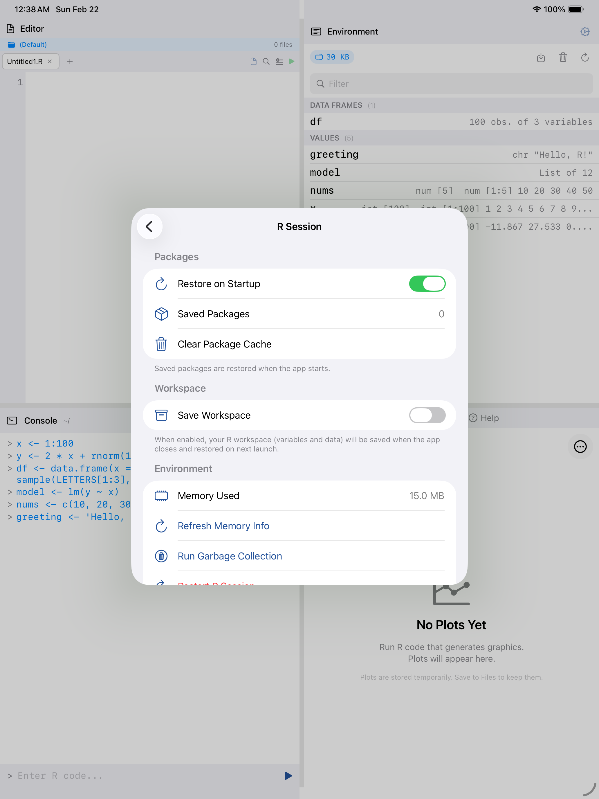 R Session settings on iPad