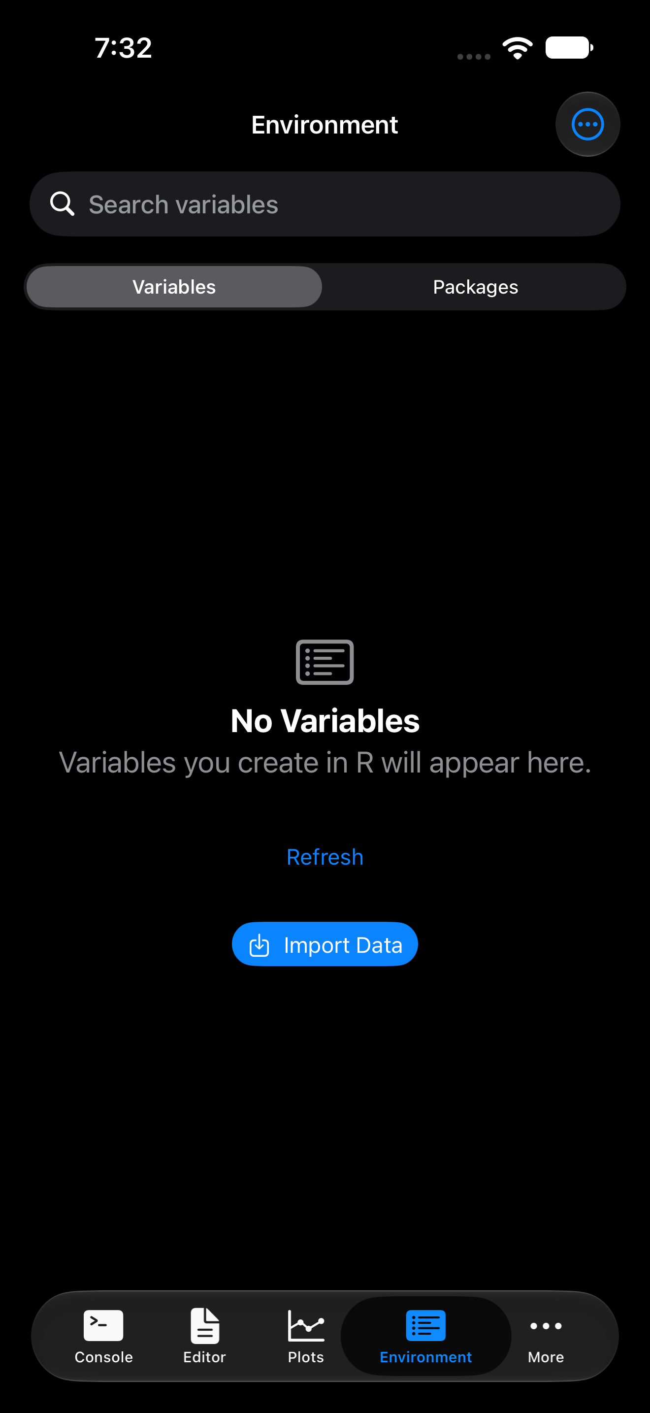 The Environment tab with no variables yet on iPhone