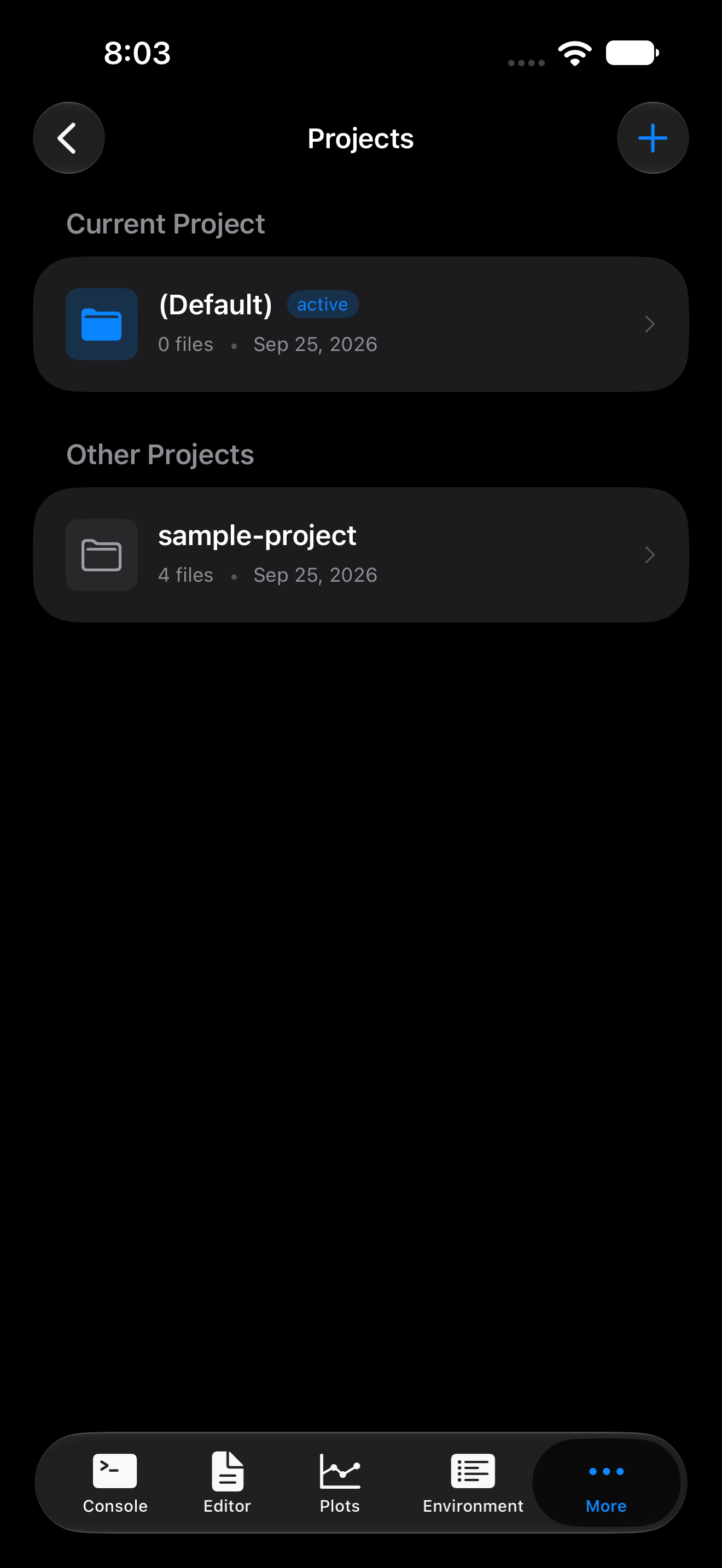 Projects tab showing the current project and project list on iPhone in dark mode
