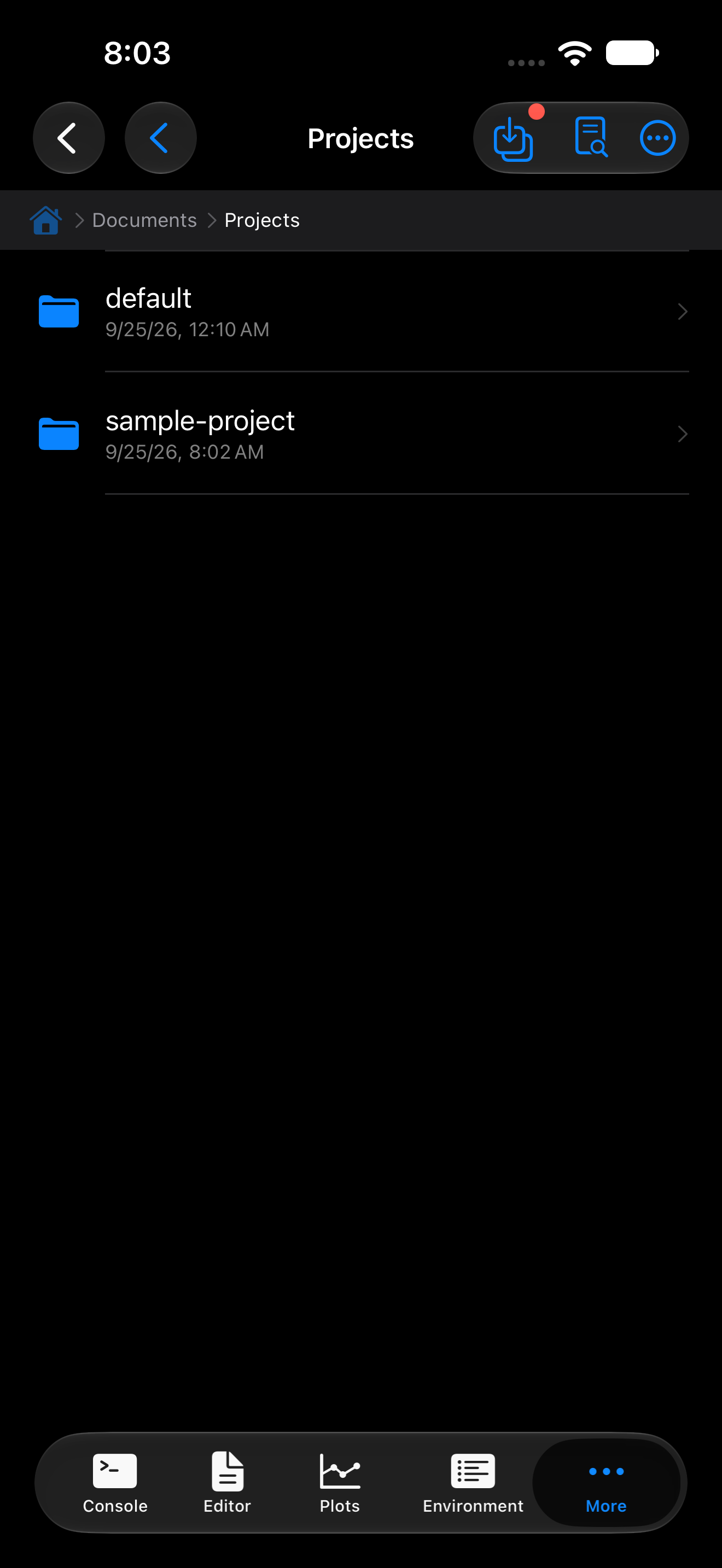 Documents Projects folder with one folder per project on iPhone in dark mode
