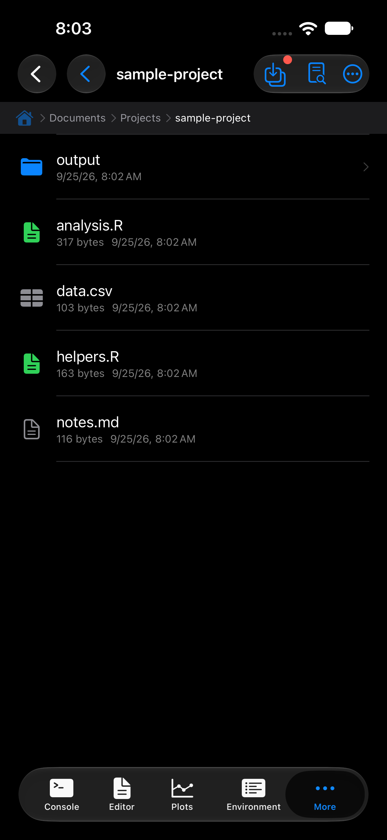 Contents inside a project folder showing scripts and data files on iPhone in dark mode