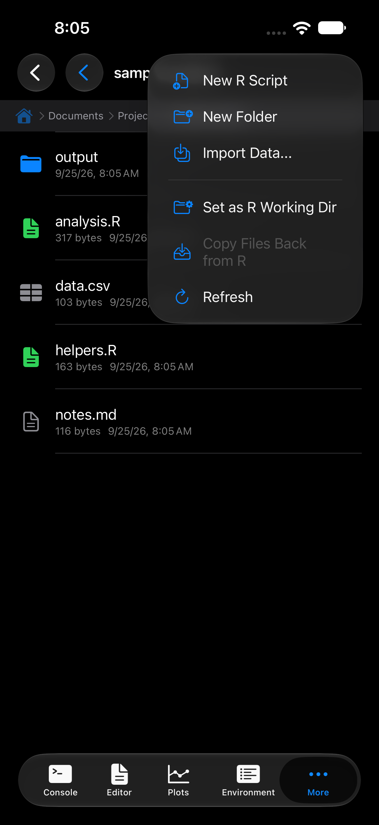 Files overflow menu showing Set as R Working Dir on iPhone in dark mode