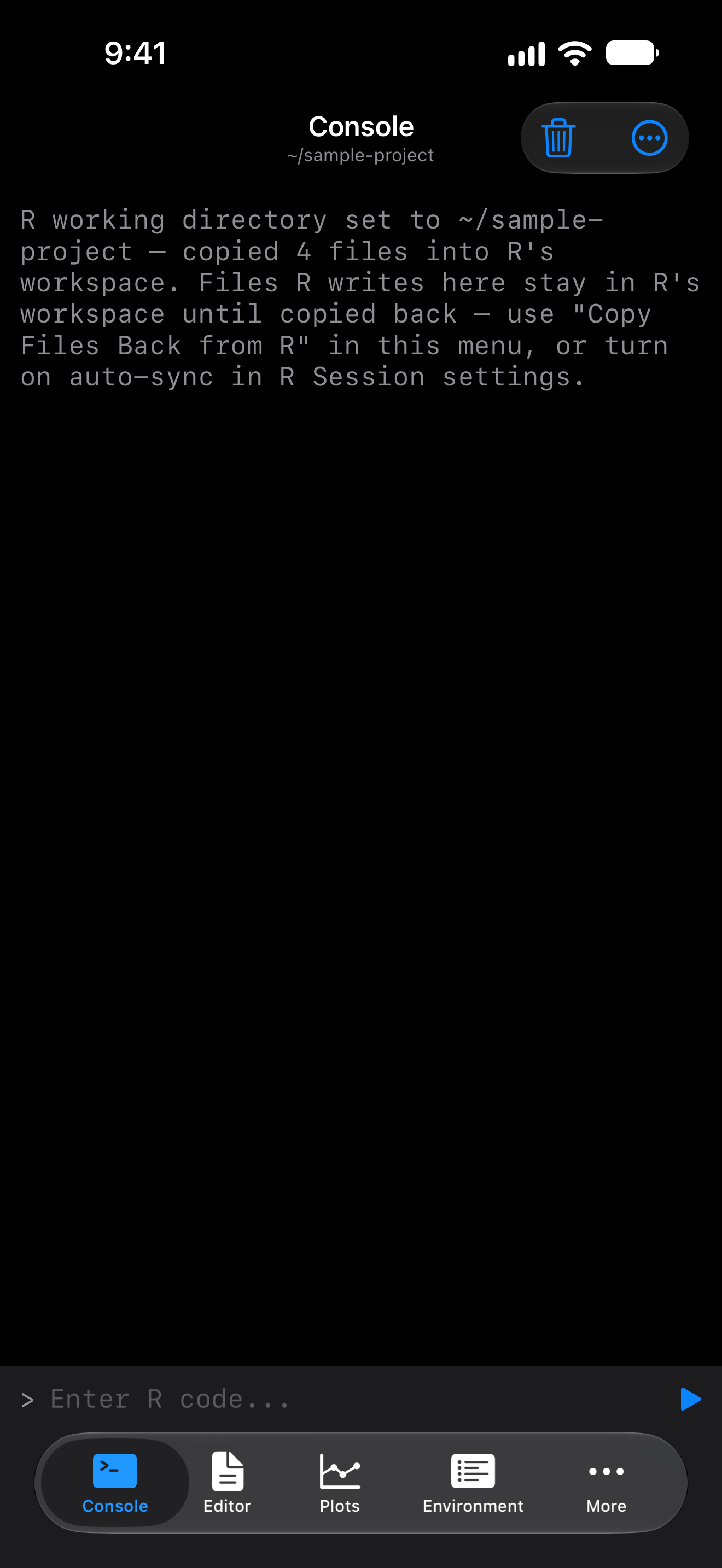 Console header showing the updated working directory on iPhone in dark mode