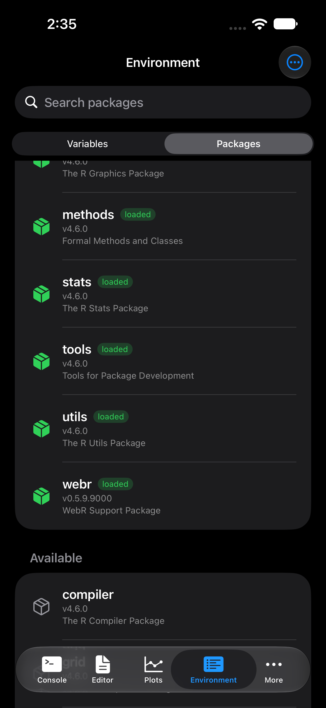 Loaded package with a green icon and loaded badge on iPhone in dark mode