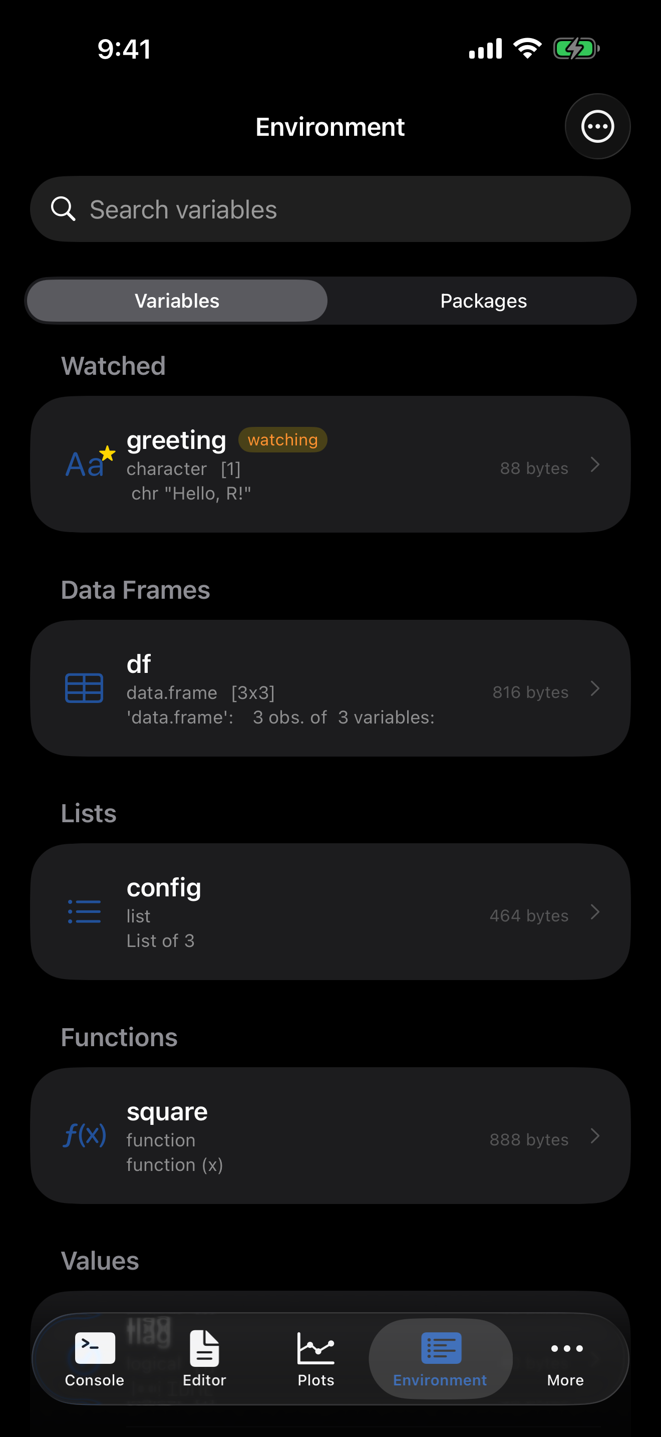 Environment tab on iPhone in dark mode with a watched variable
