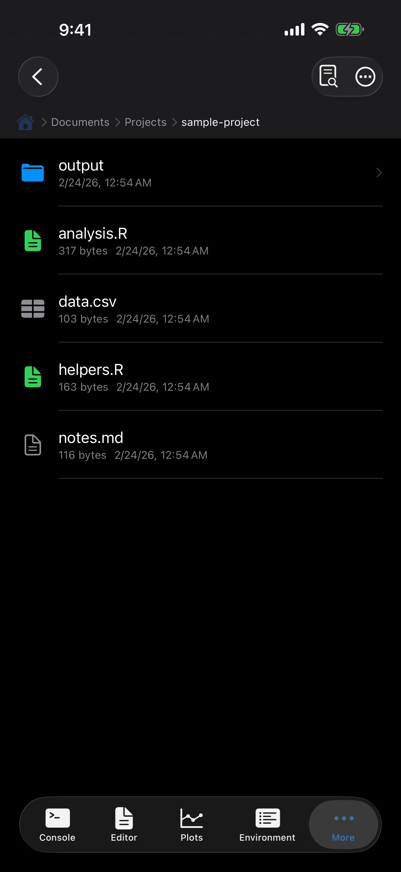 Files tab on iPhone in dark mode showing R scripts and folders