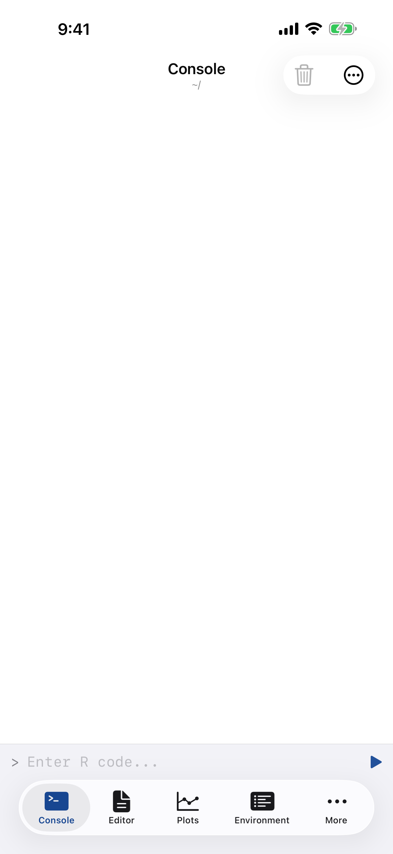 Empty console ready for input on iPhone