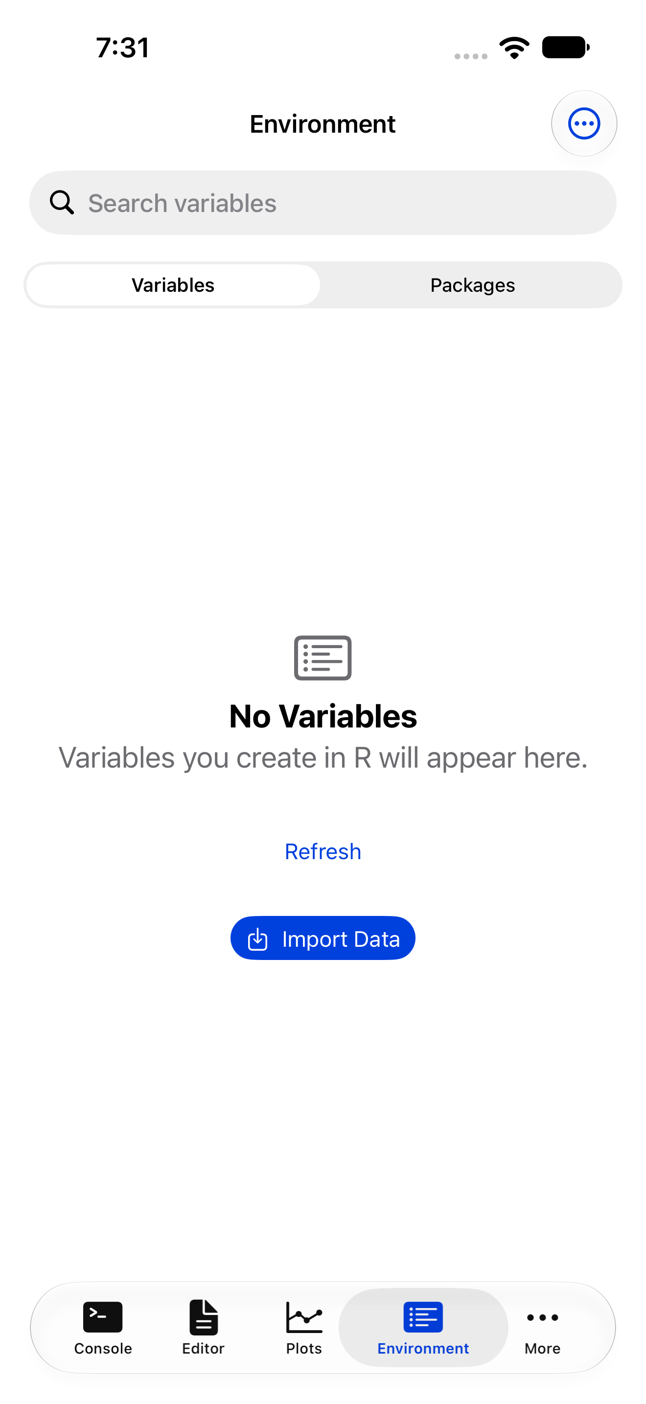The Environment tab with no variables yet on iPhone