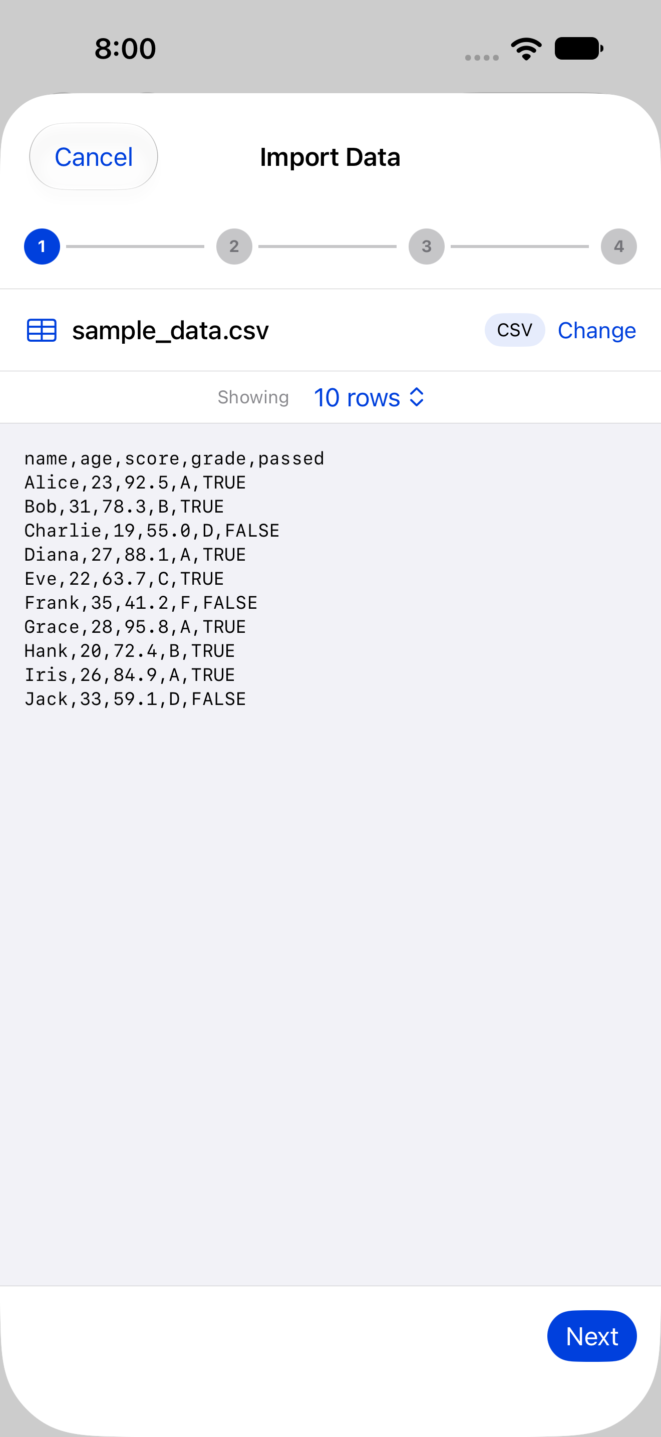 Wizard showing detected format, row count and raw preview on iPhone