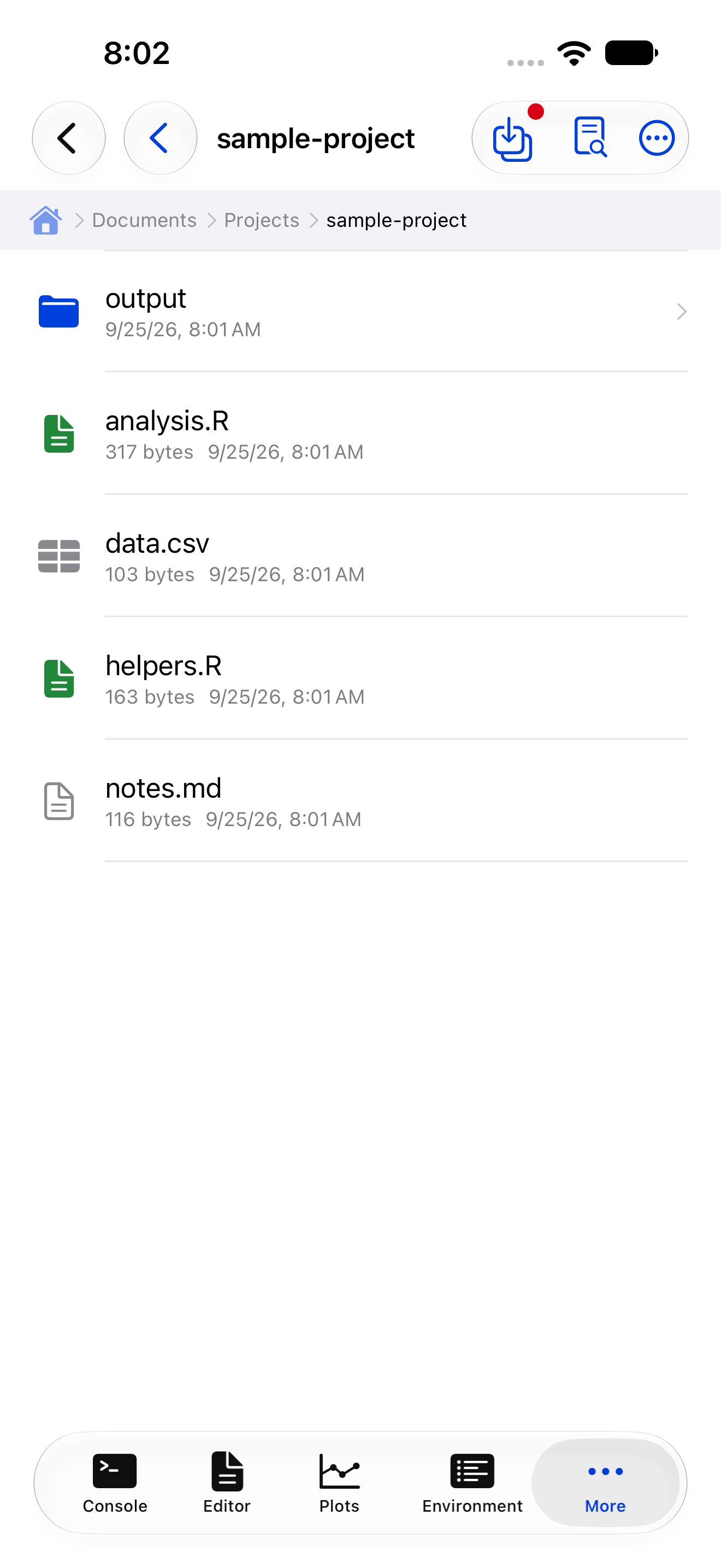 Contents inside a project folder showing scripts and data files on iPhone