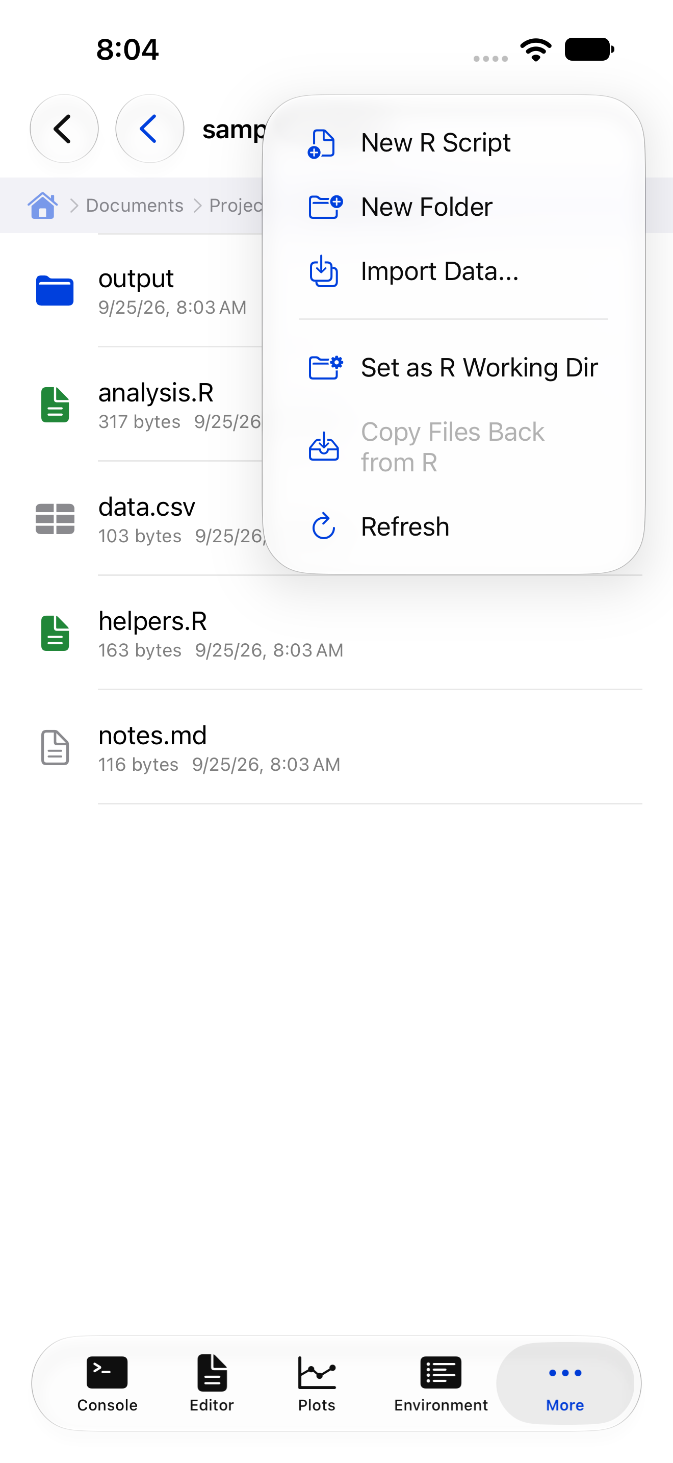 Files overflow menu showing Set as R Working Dir on iPhone
