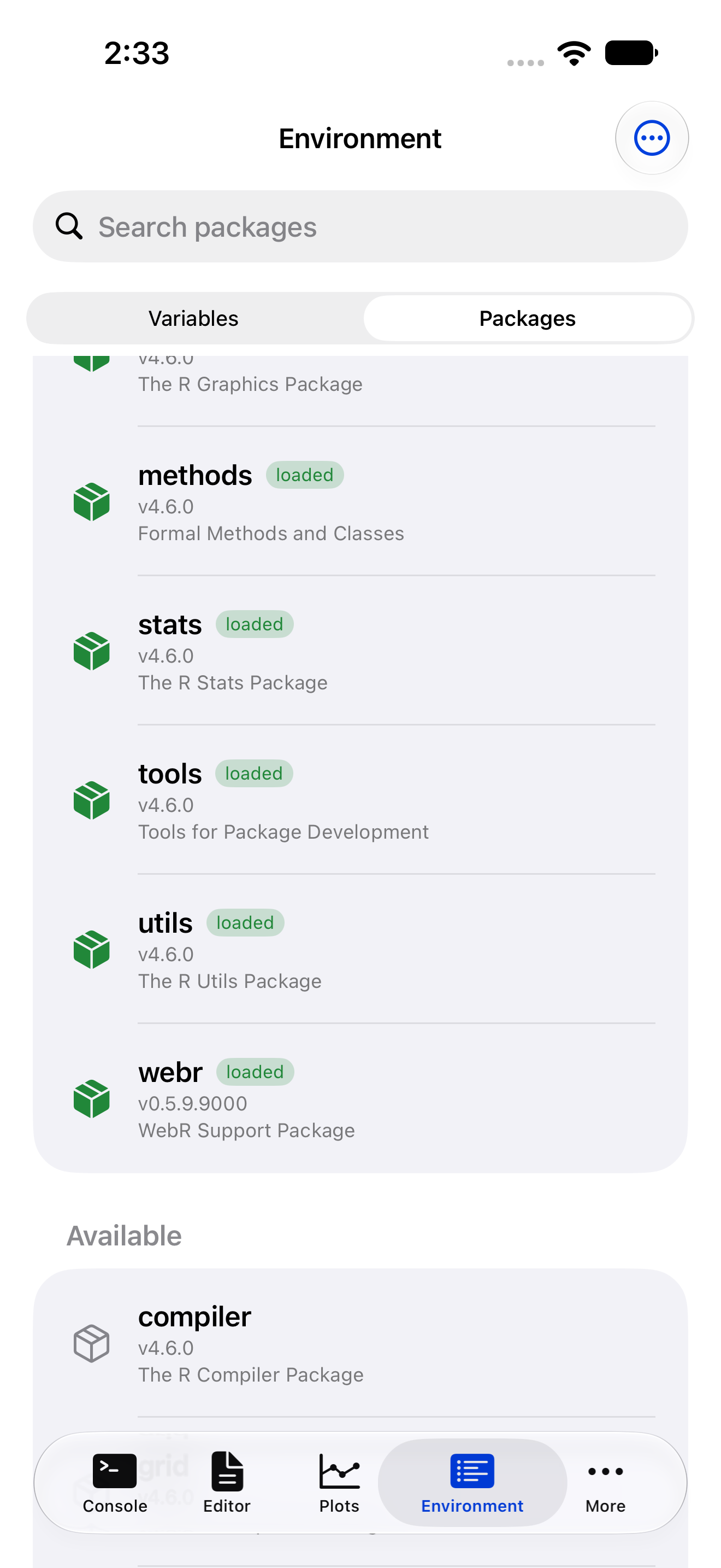 Loaded package with a green icon and loaded badge on iPhone