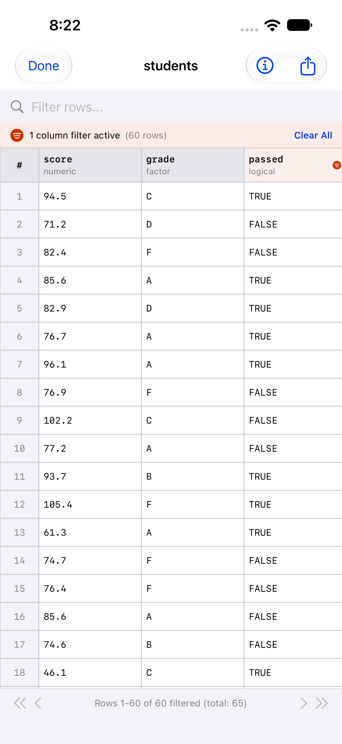 Data Frame Viewer showing the active filter status bar on iPhone