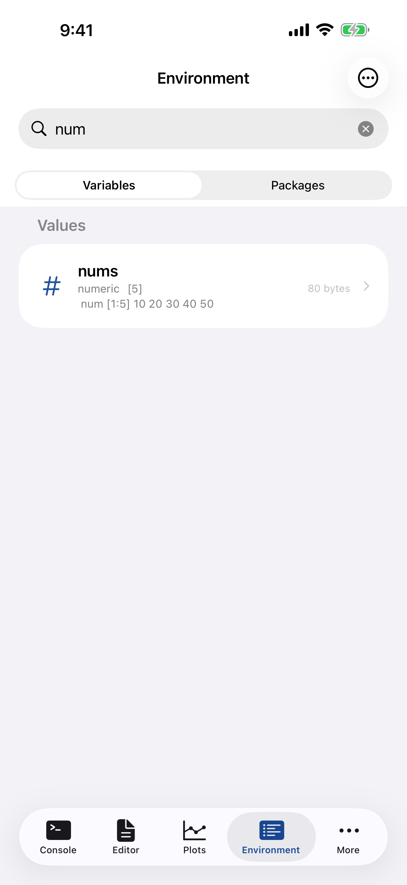 Environment tab on iPhone with search bar filtering variables by name